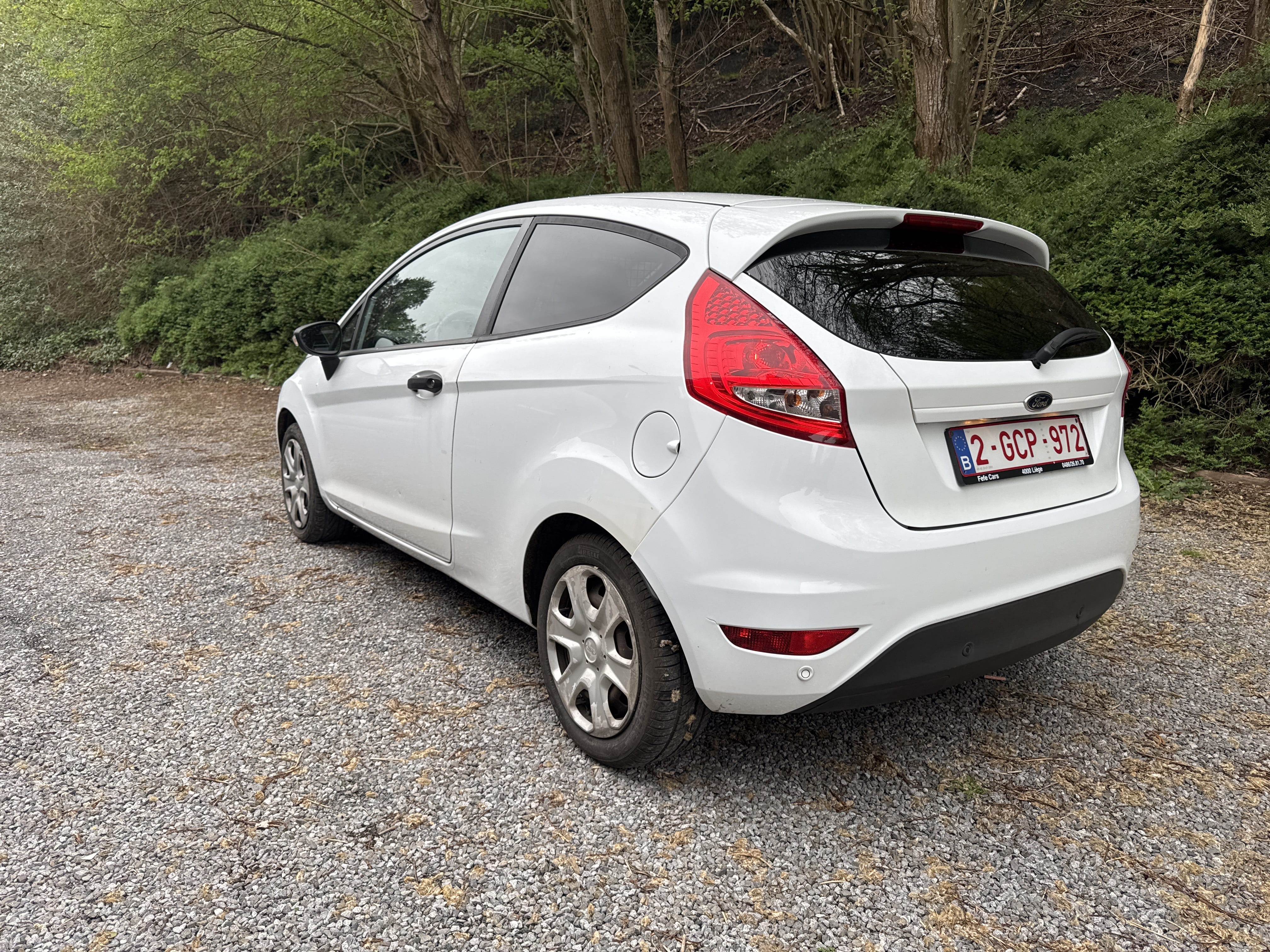 Ford Fiesta 1,4 tdi