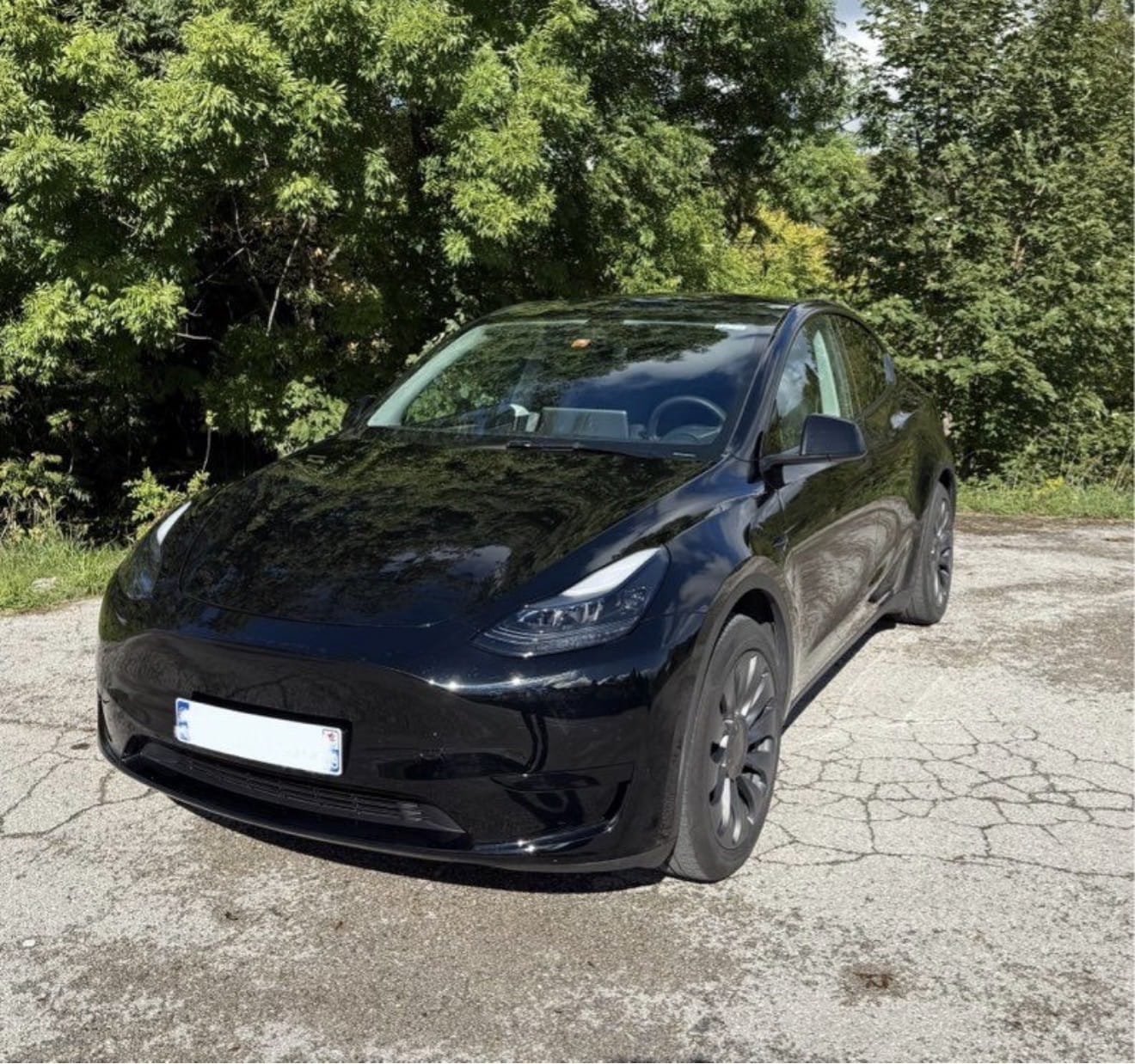 Tesla Model Y Performance, 2023, Électrique, automatique