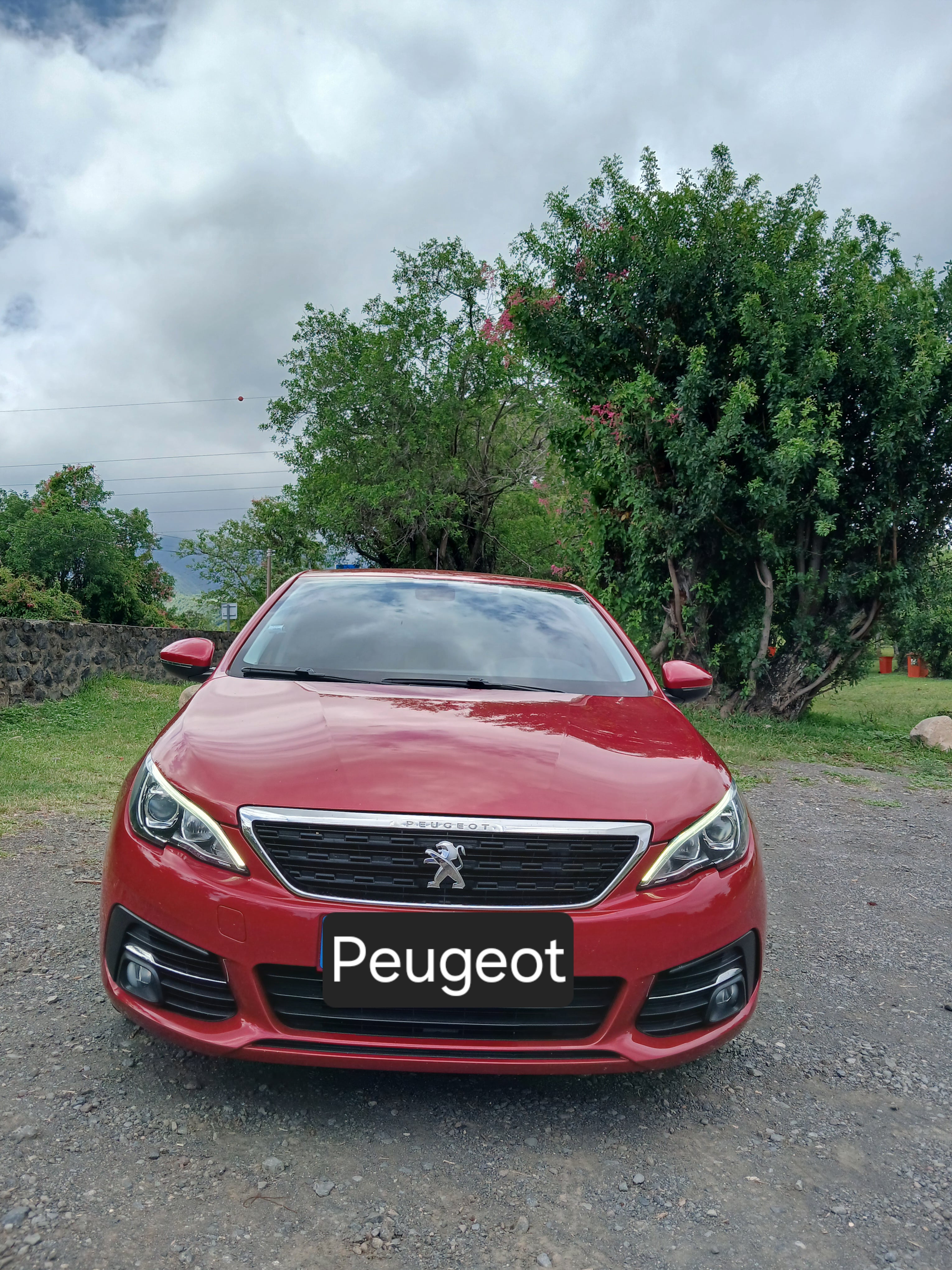Peugeot 308, 2019, Essence 95
