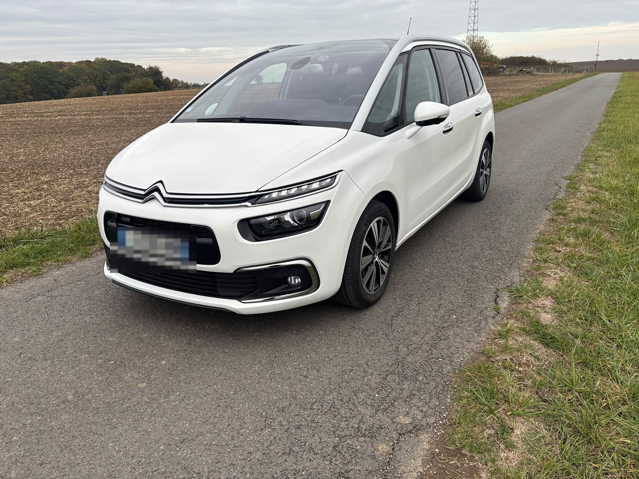 Citroen C4 Grand Spacetourer, 2017, Essence 95, automatique, 7 places