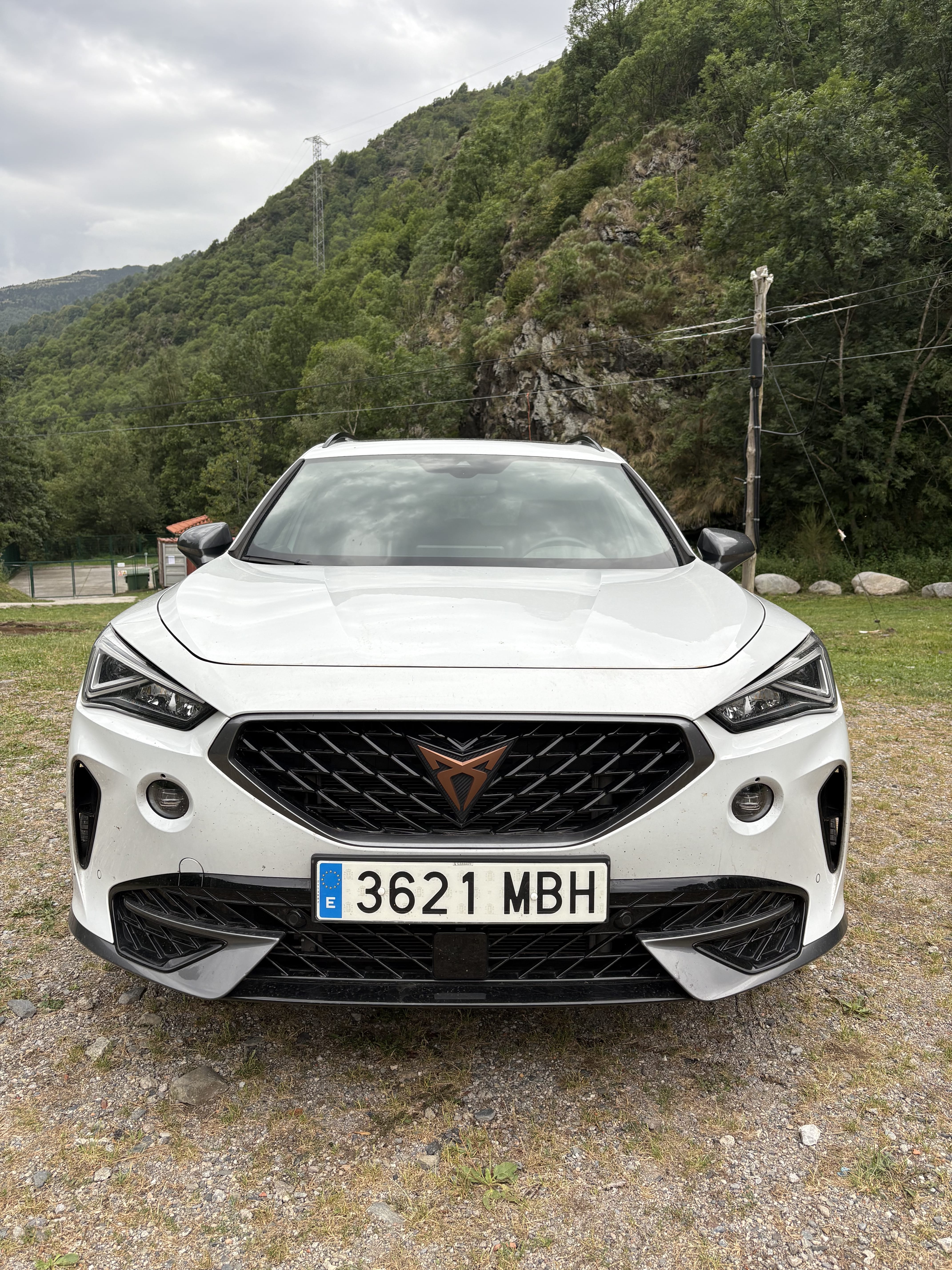 Cupra Formentor, 2022, Gasolina 95