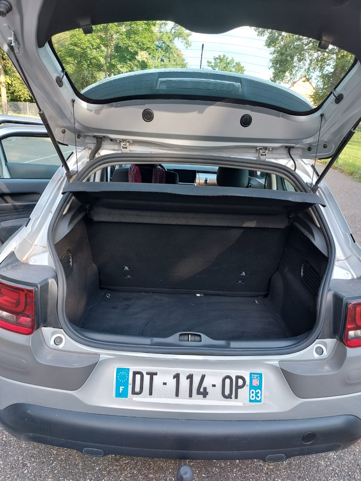 Citroen C4 Cactus avec Audio Bluetooth