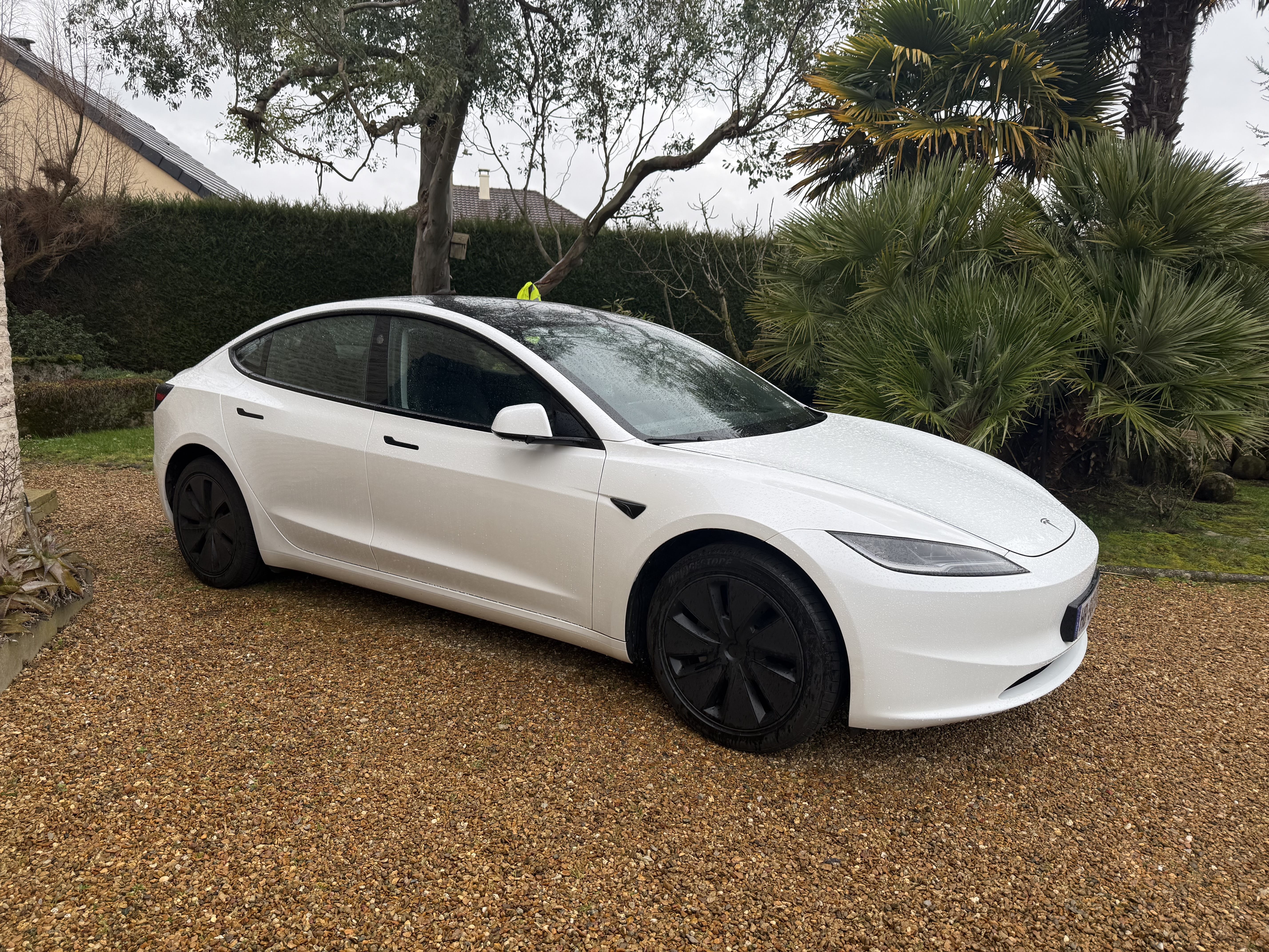 Tesla Model 3 Standard Range, 2024, Électrique, automatique