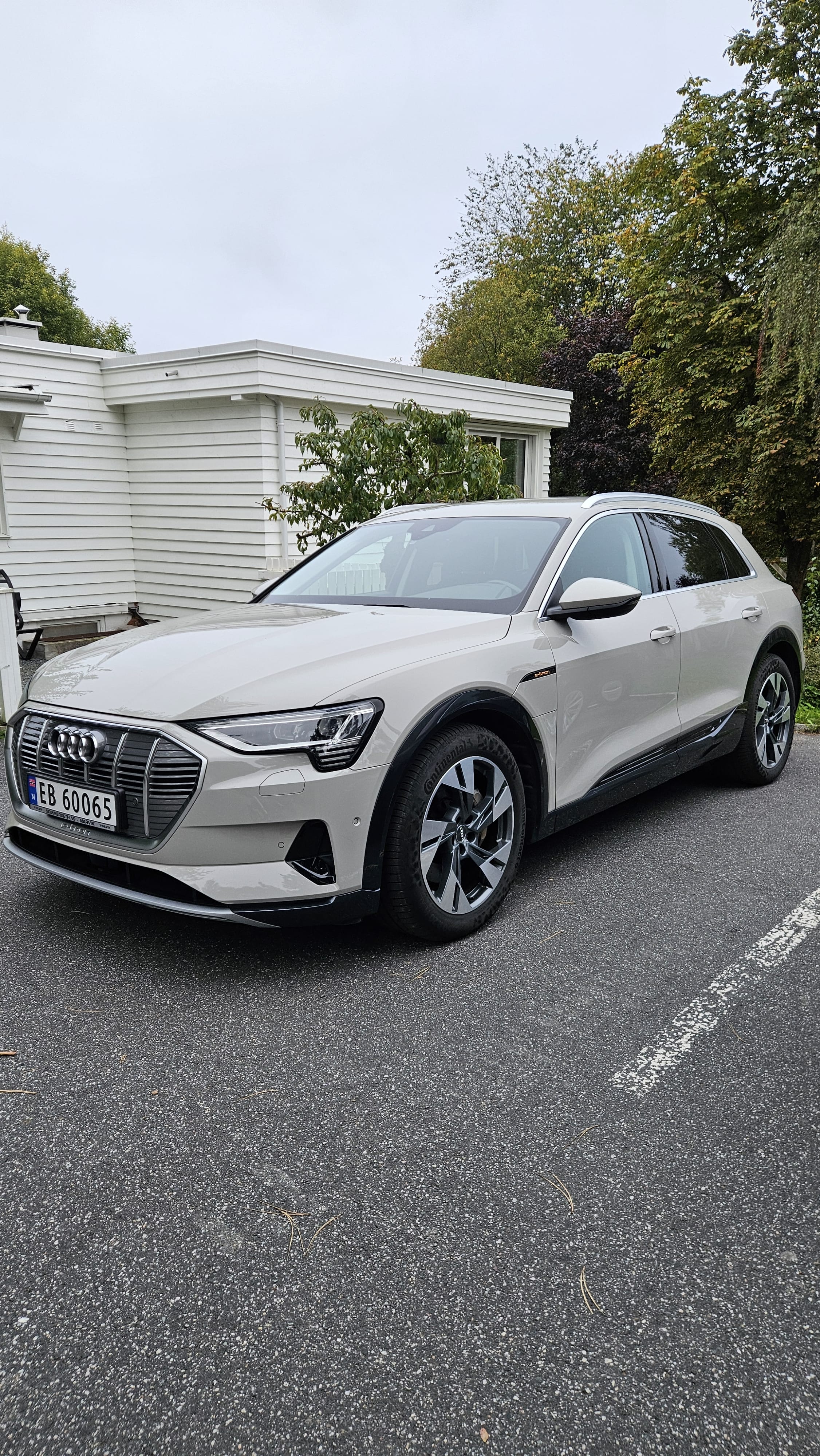 Audi e-tron, 2019, Electric, automatic