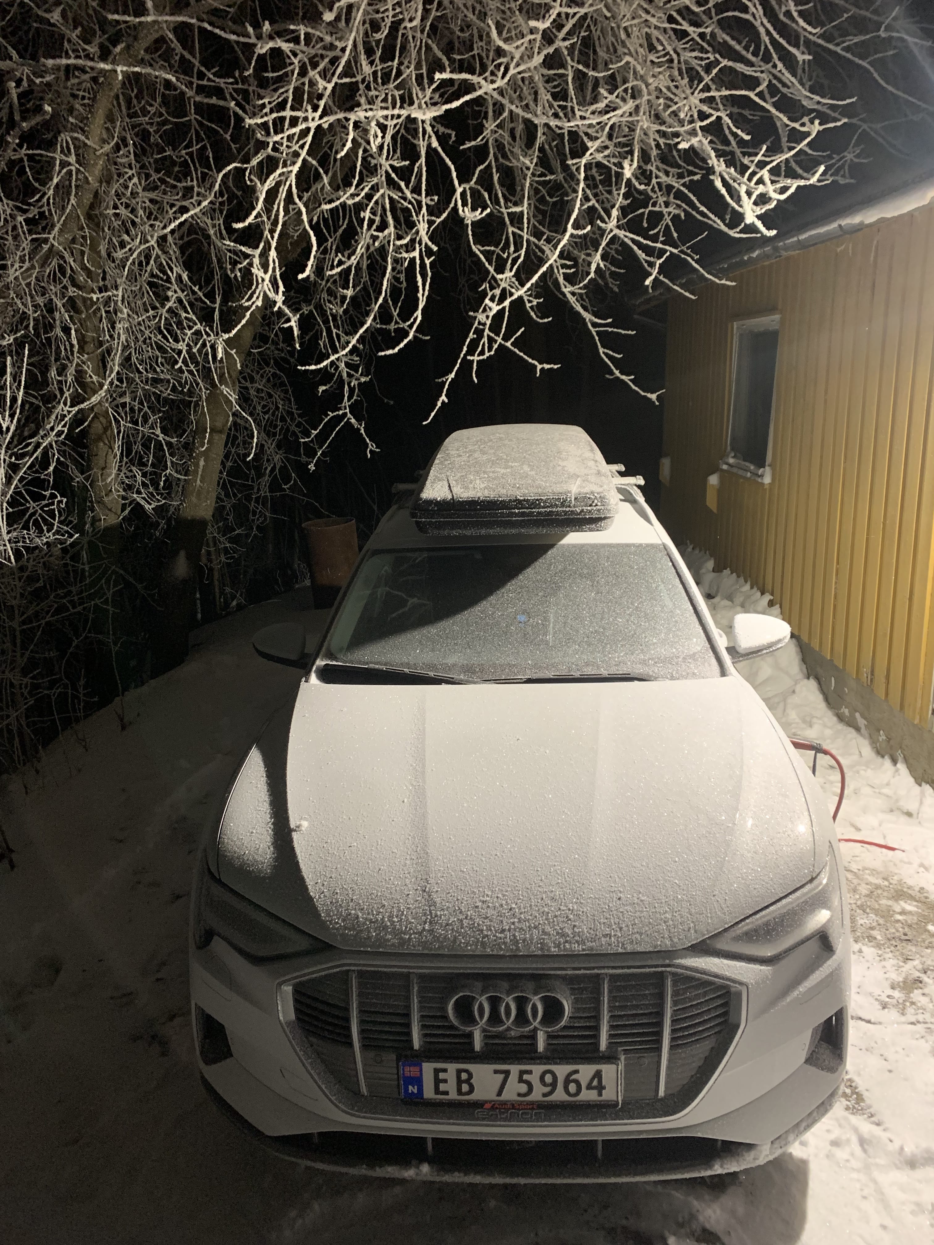 Audi e-tron, 2020, Electric, automatic