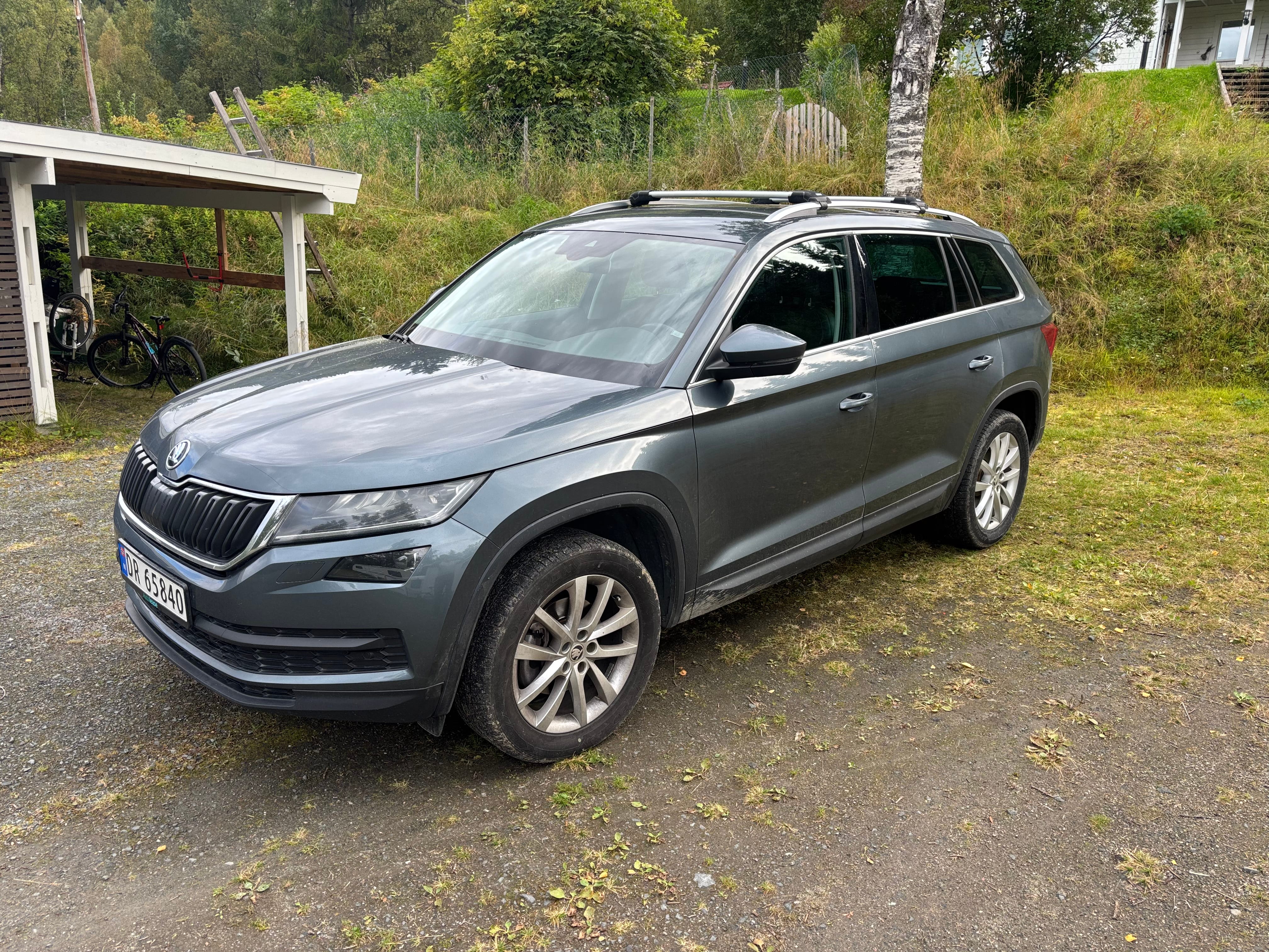 Skoda Kodiaq, 2019, Diesel, automatisk, 7 seter