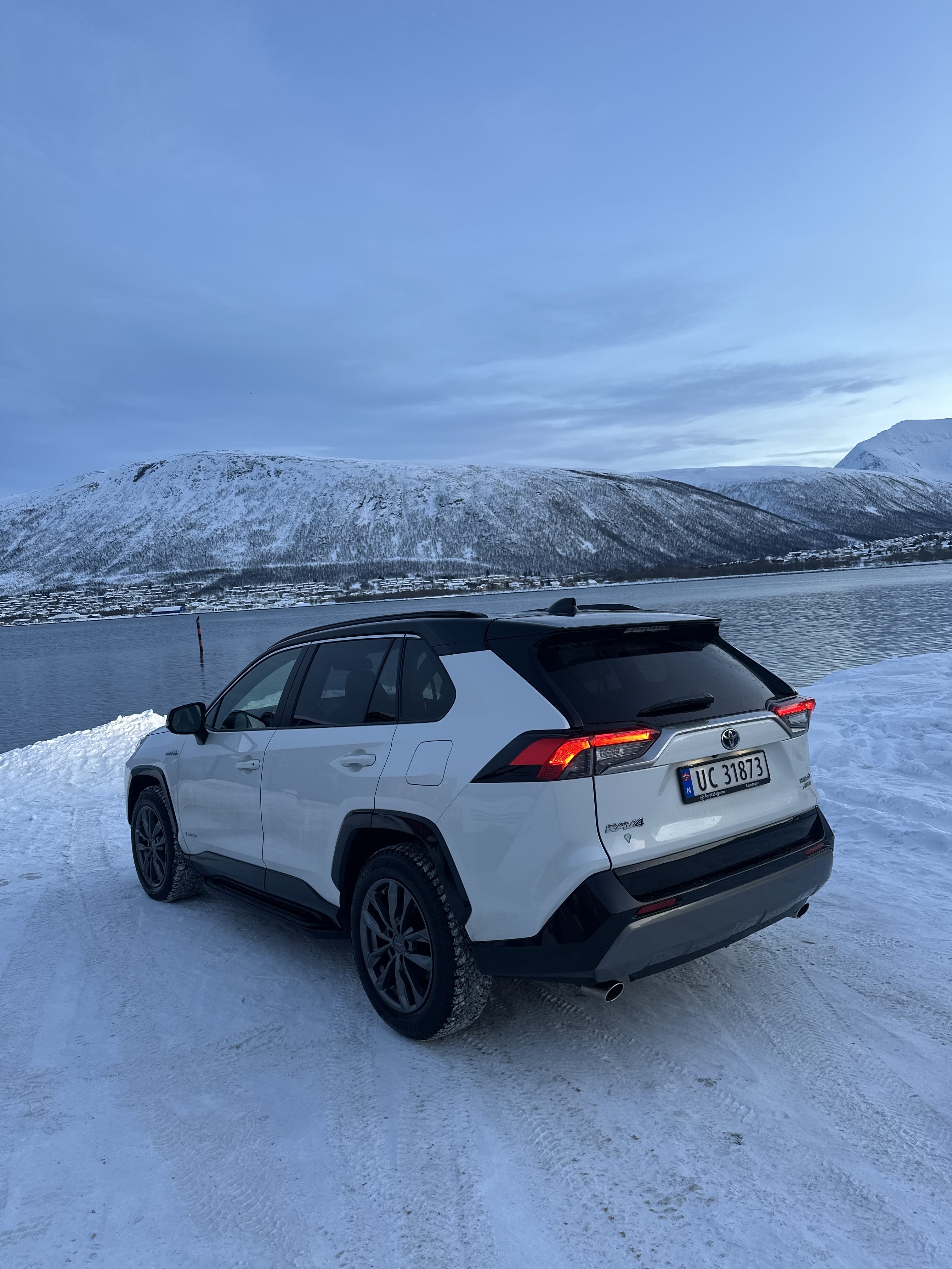 Toyota RAV 4 Hybrid met Achteruitrijcamera
