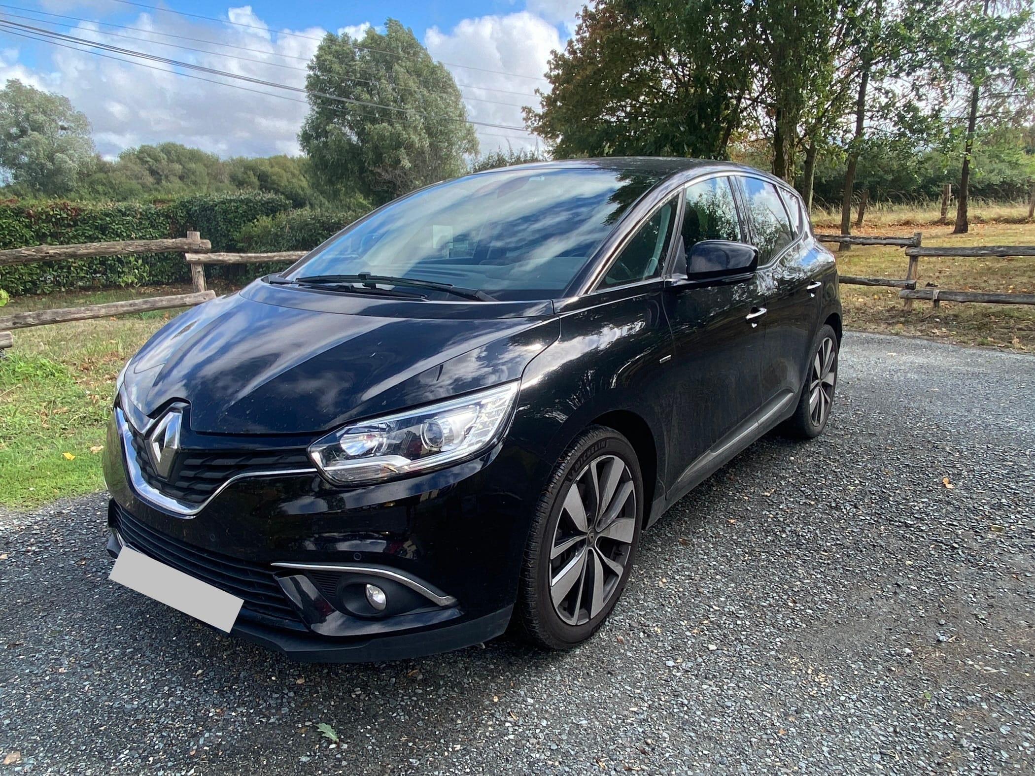 Renault Scenic, 2019, Diesel, automatique