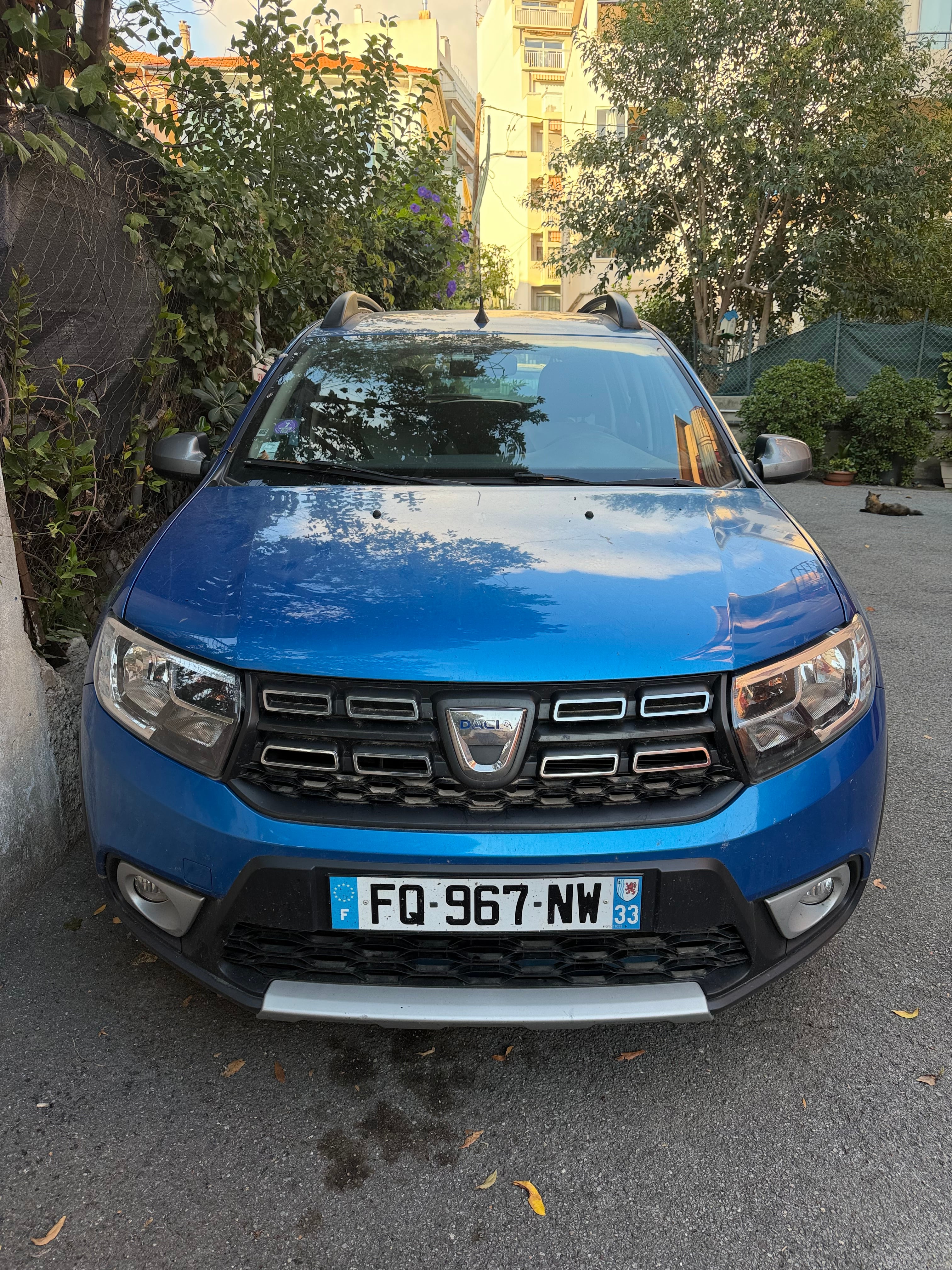 Dacia Sandero Stepway, 2020, Essence 95