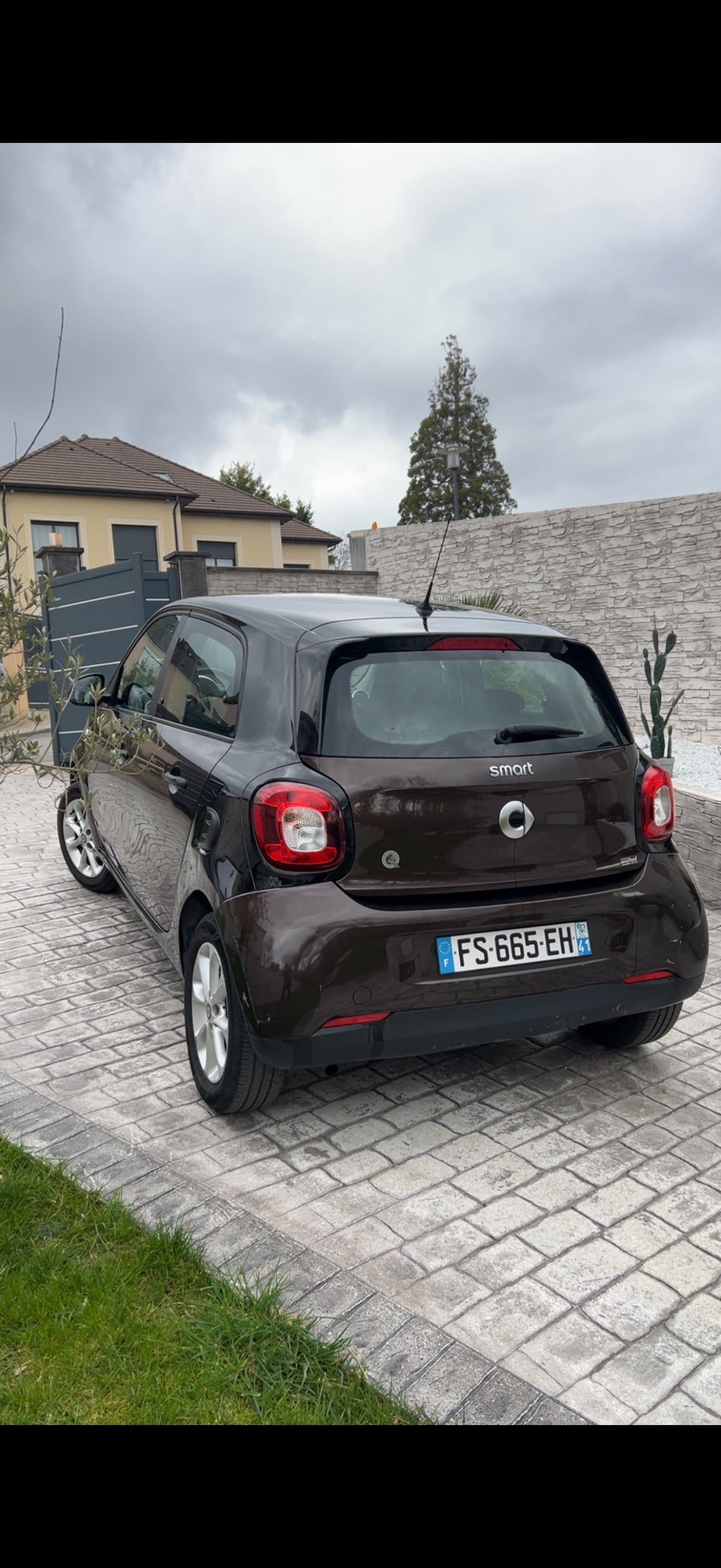Smart Forfour Essence avec Régulateur de vitesse