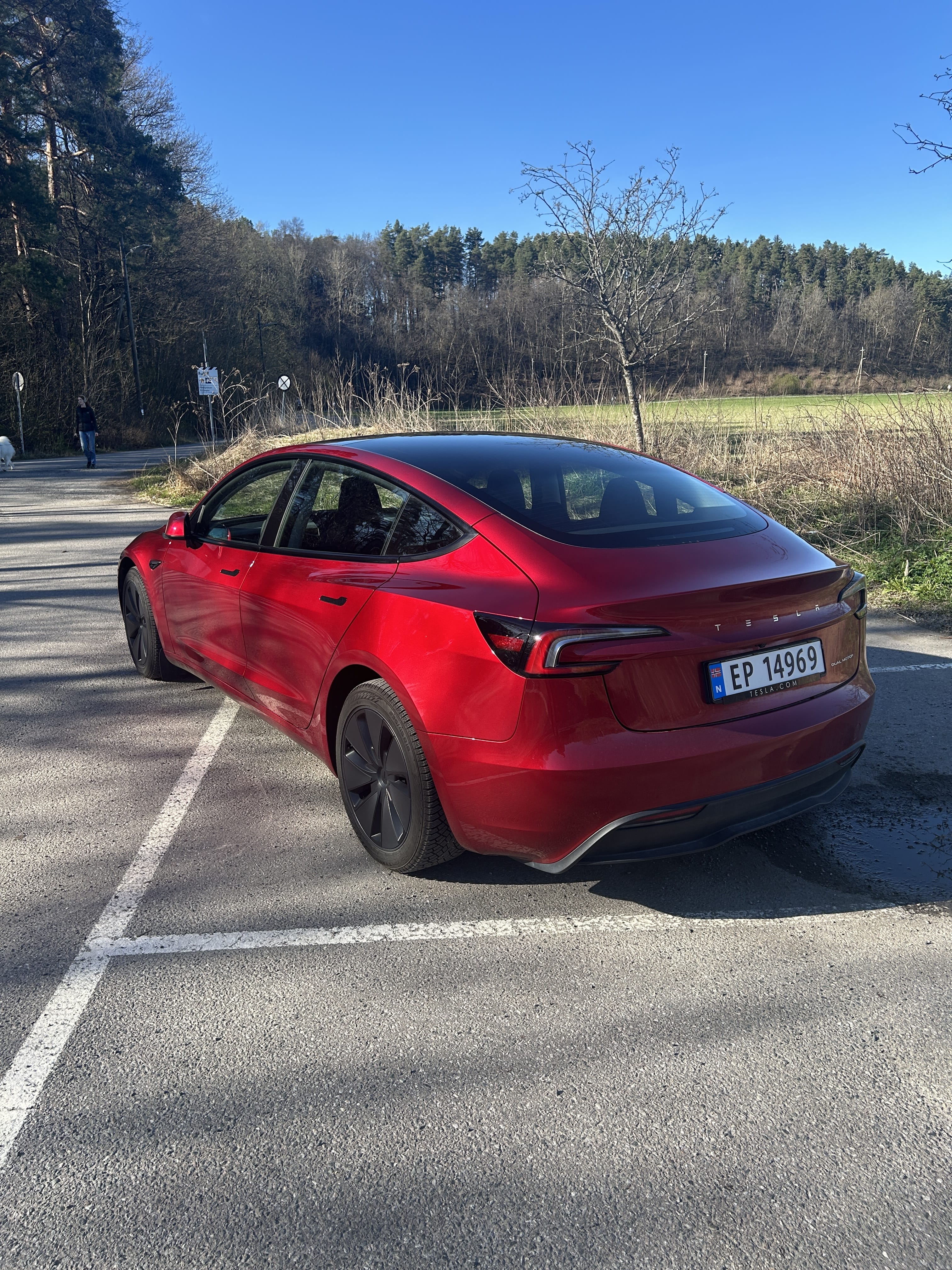 Tesla Model 3 Long Range with Backup camera