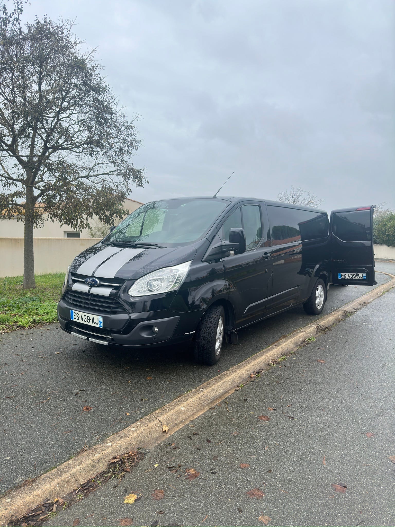 Ford Transit Custom Fourgon 2.0 Ecoblue 130 ch, 2017, Diesel, automatique