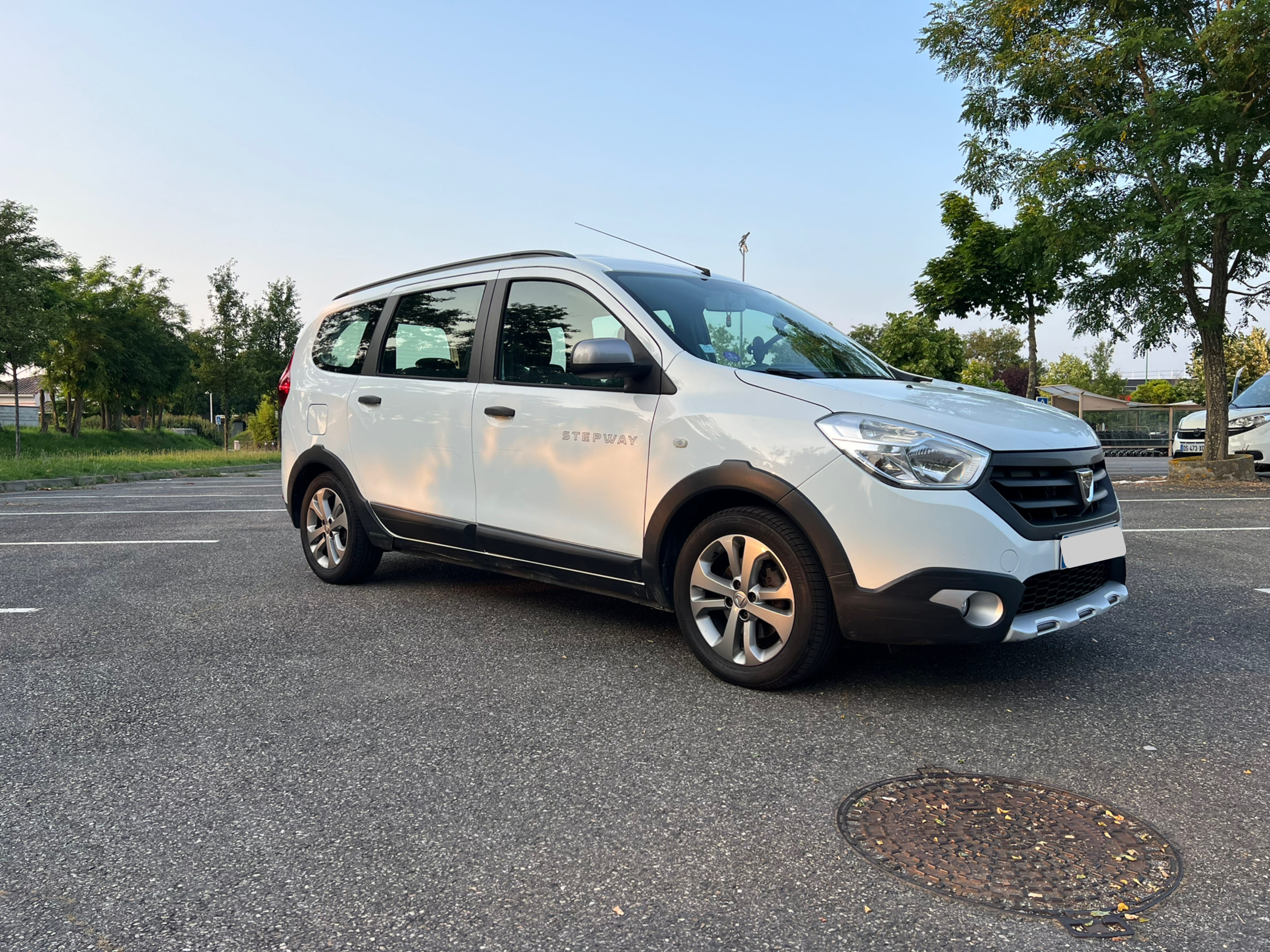 Dacia Lodgy Stepway met Audio- / iPod-ingang