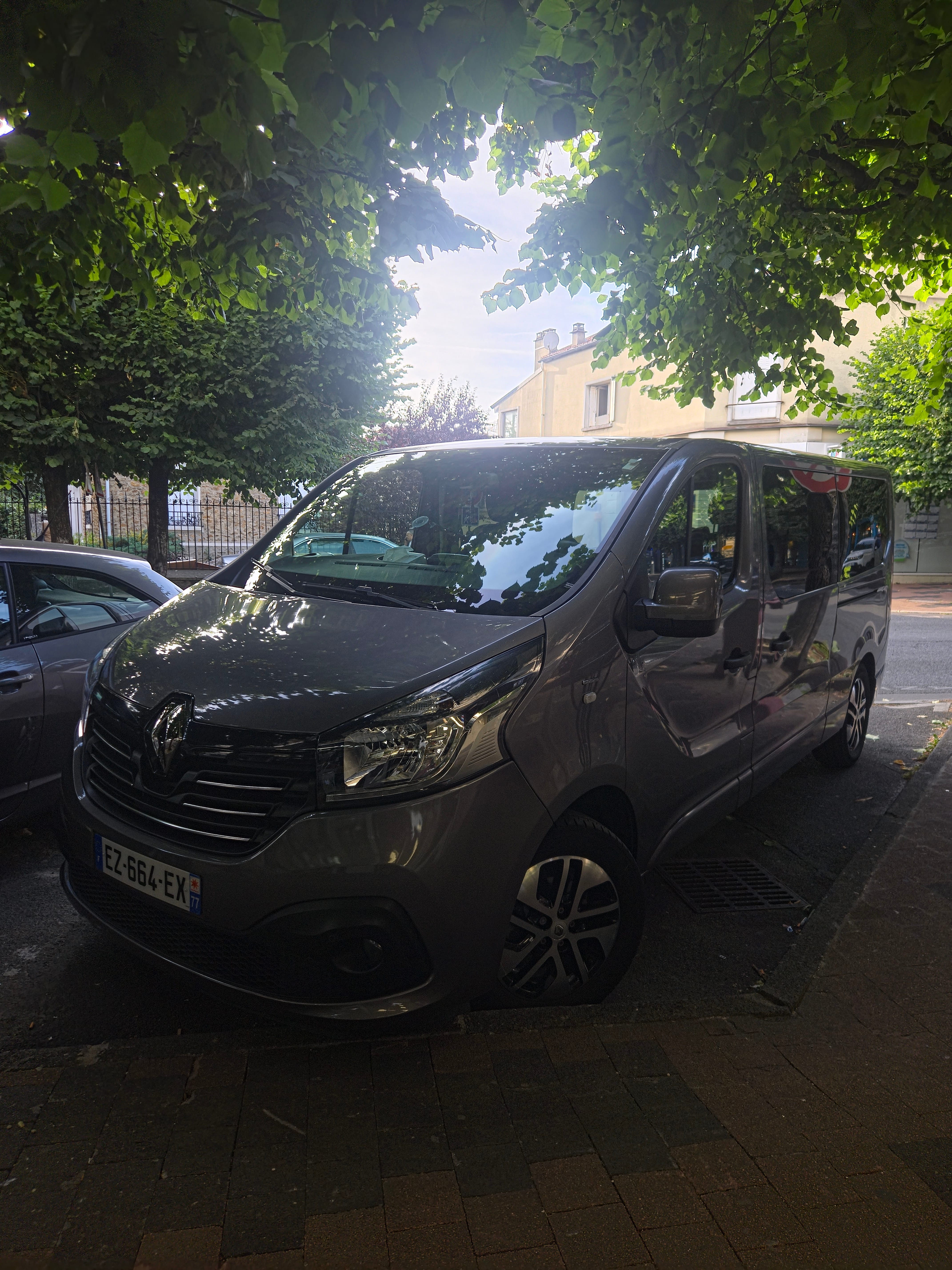 Renault Trafic Passenger, 2018, Diesel, 7 places