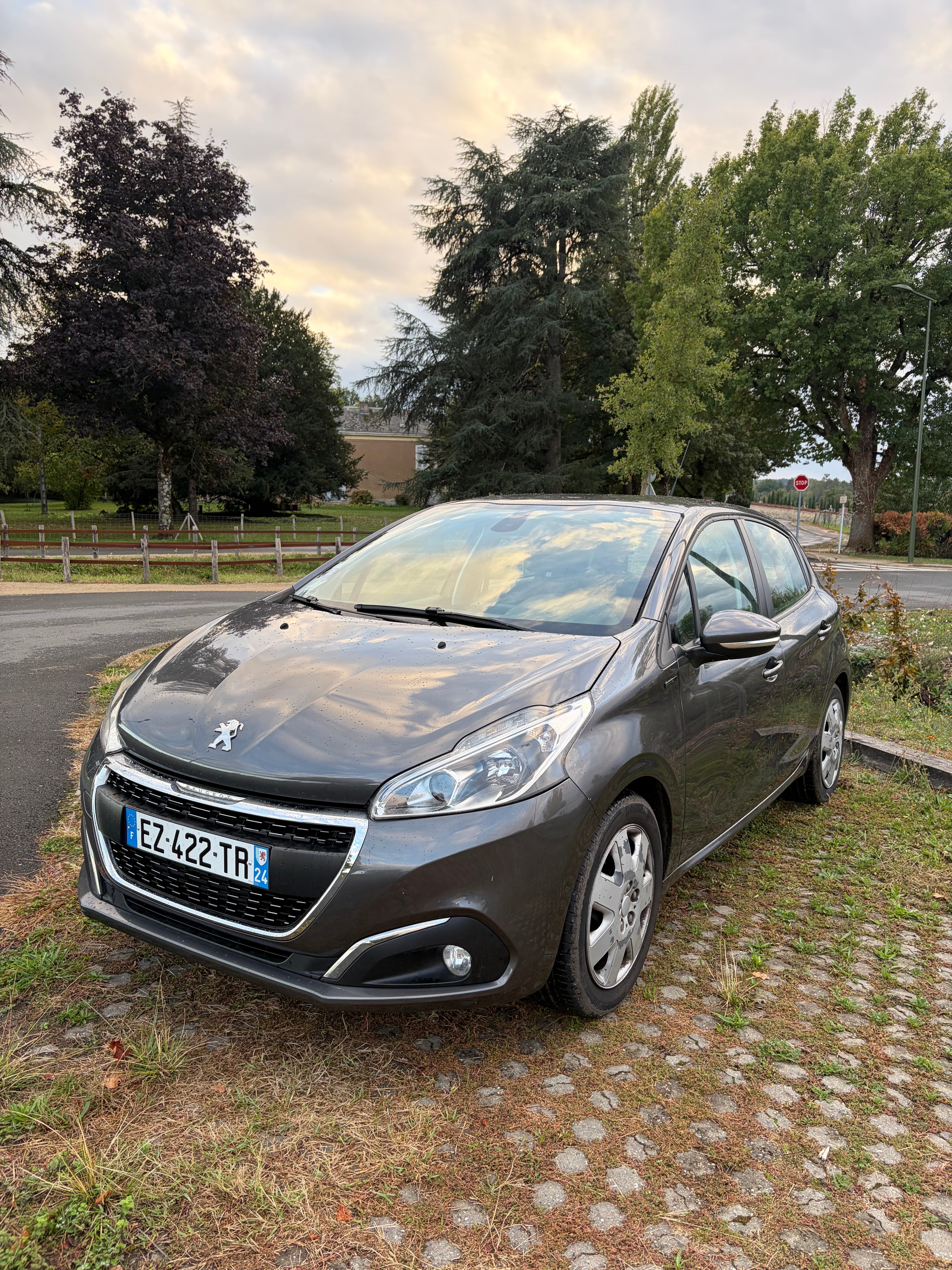 Peugeot 208, 2018, Essence 95