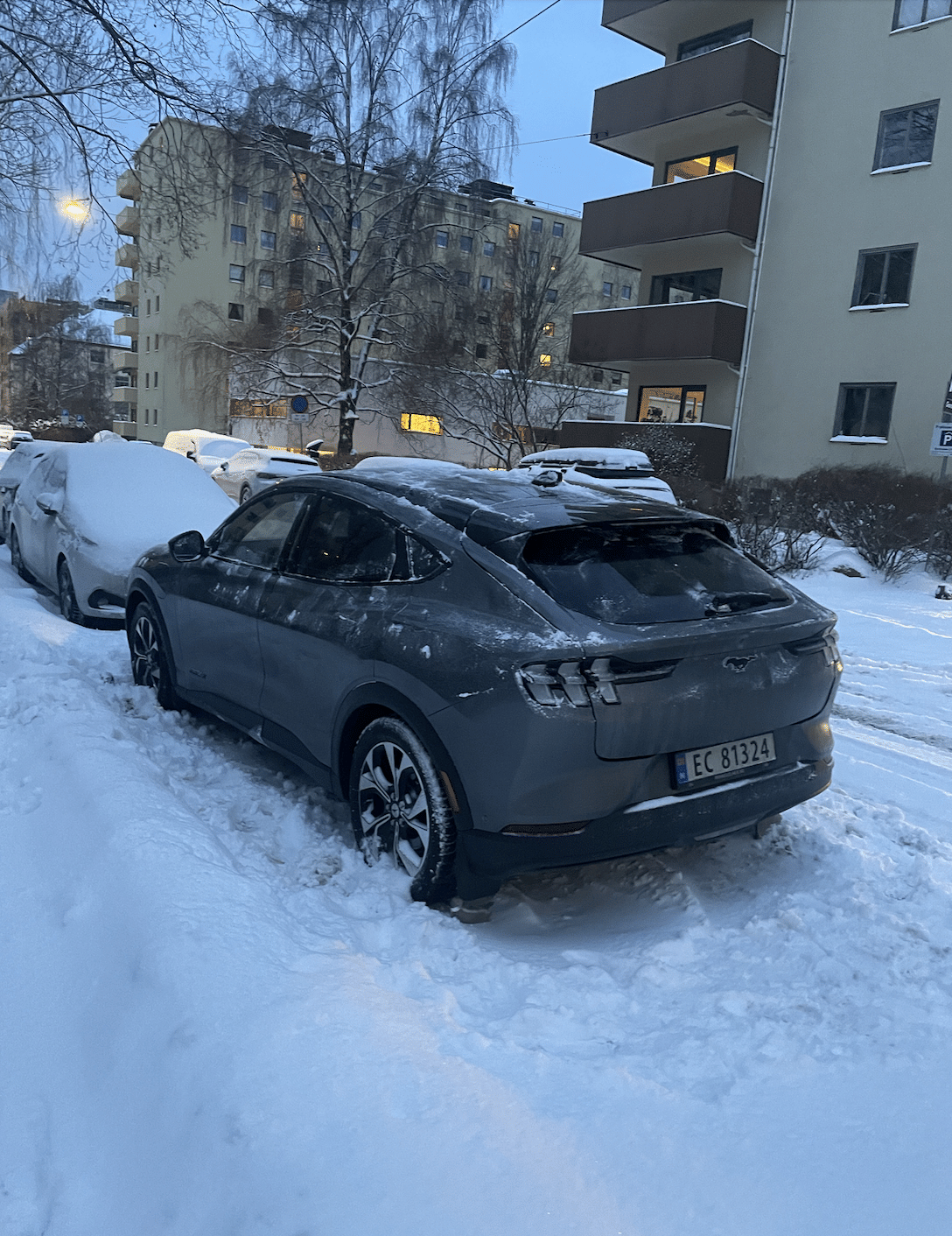 Ford Mustang Mach-E med GPS