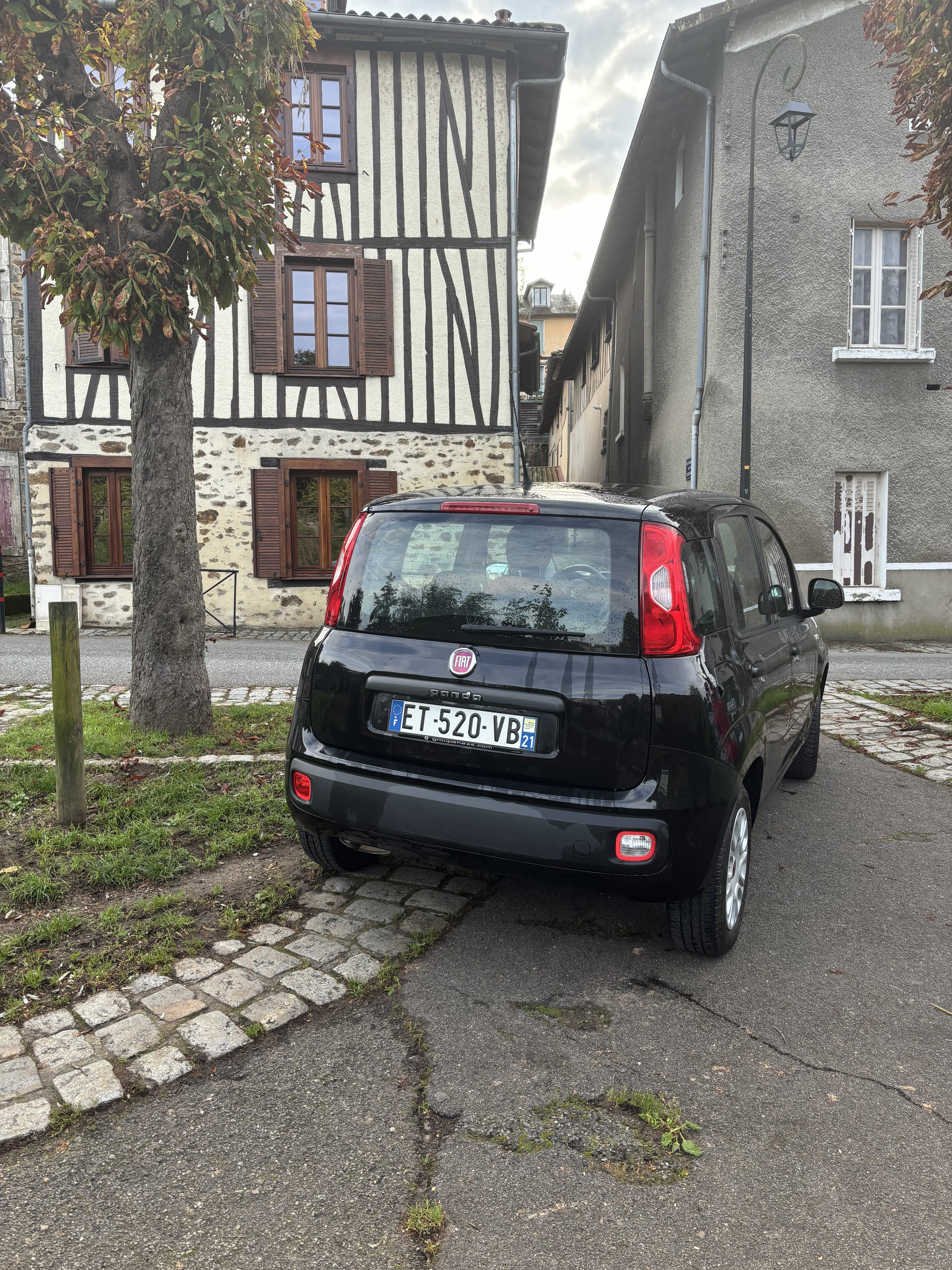 Fiat Panda BUSINESS 1.2L 69CV