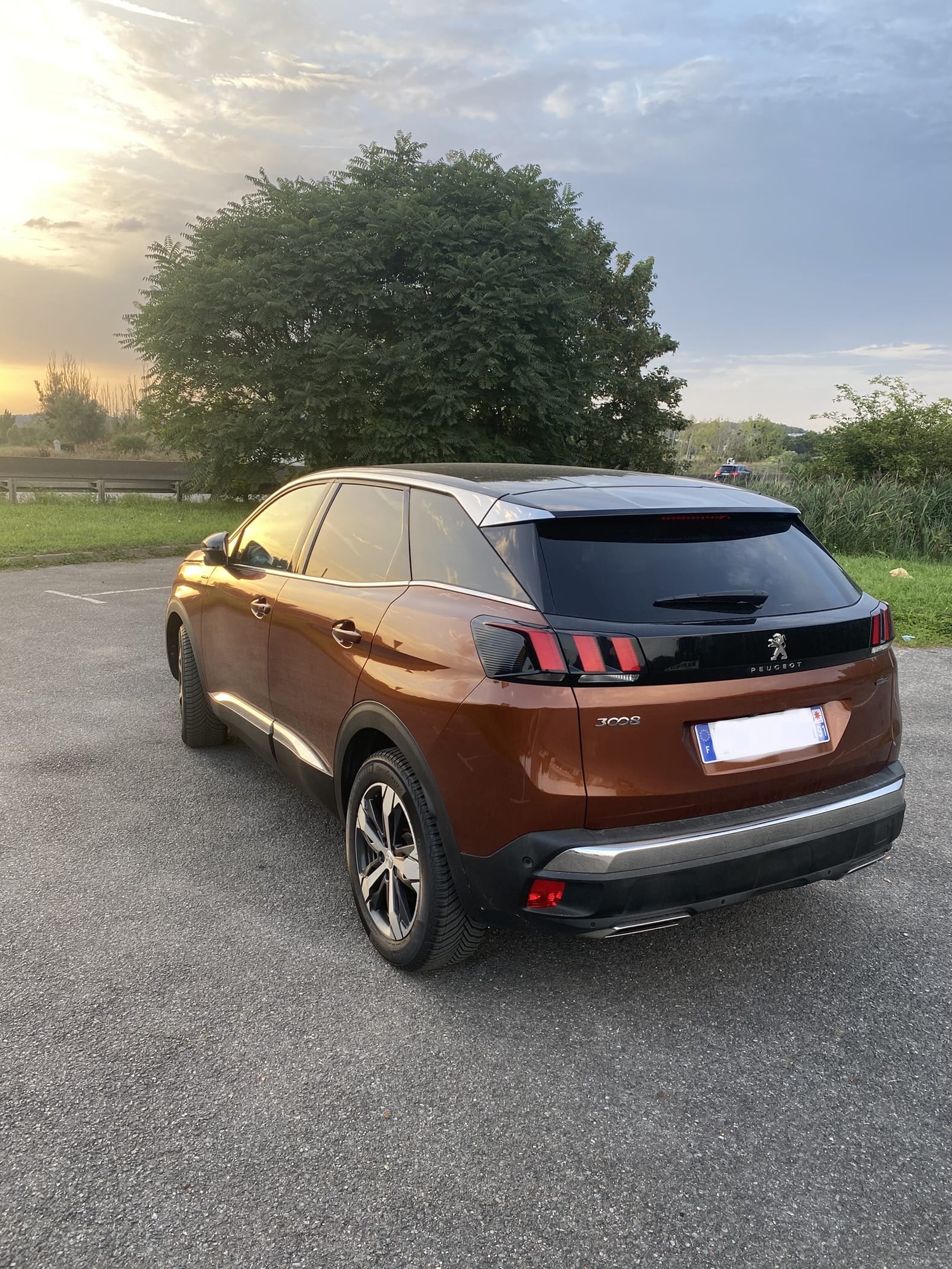 Peugeot 3008 avec Régulateur de vitesse