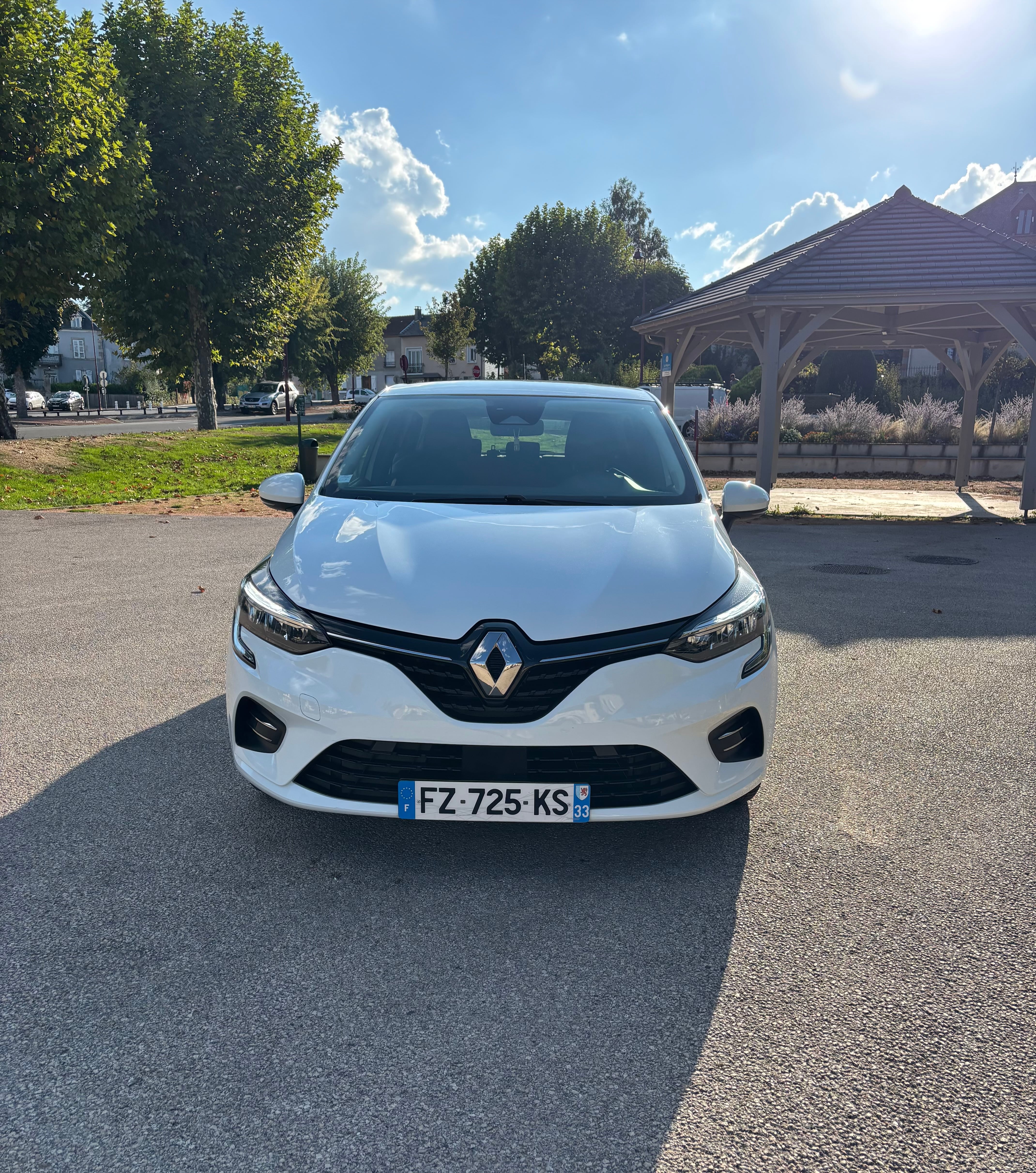 Renault Clio mit Bluetooth-Audio