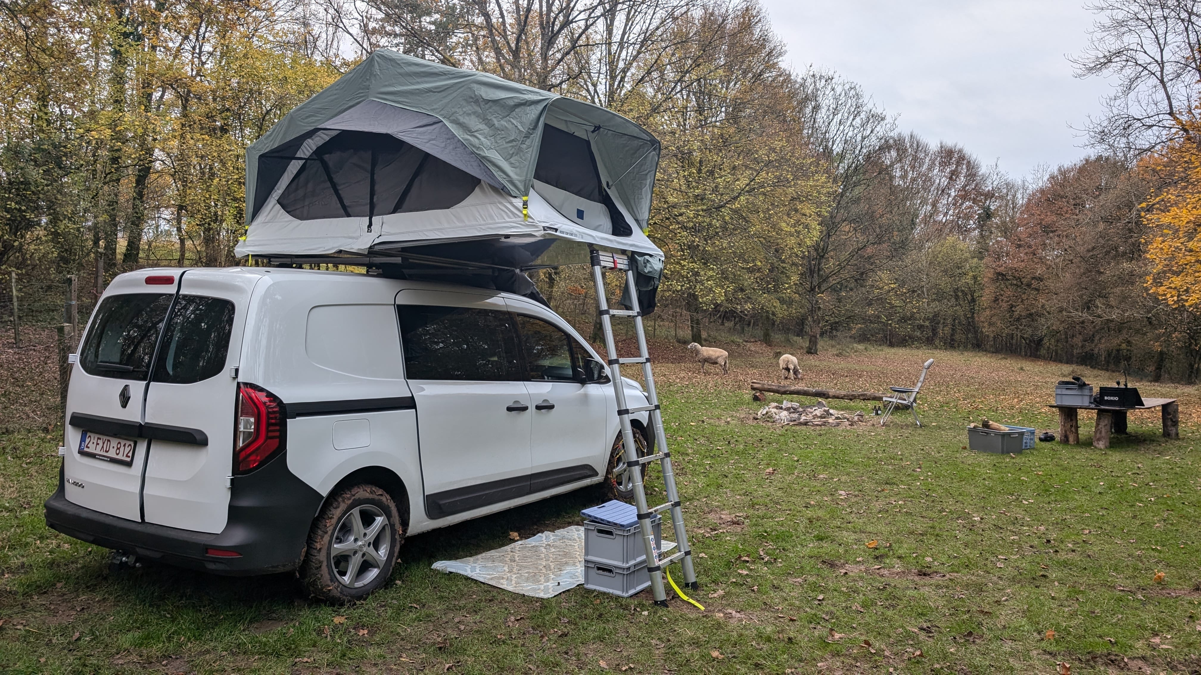 Renault Kangoo Bestelwagen avec Apple CarPlay