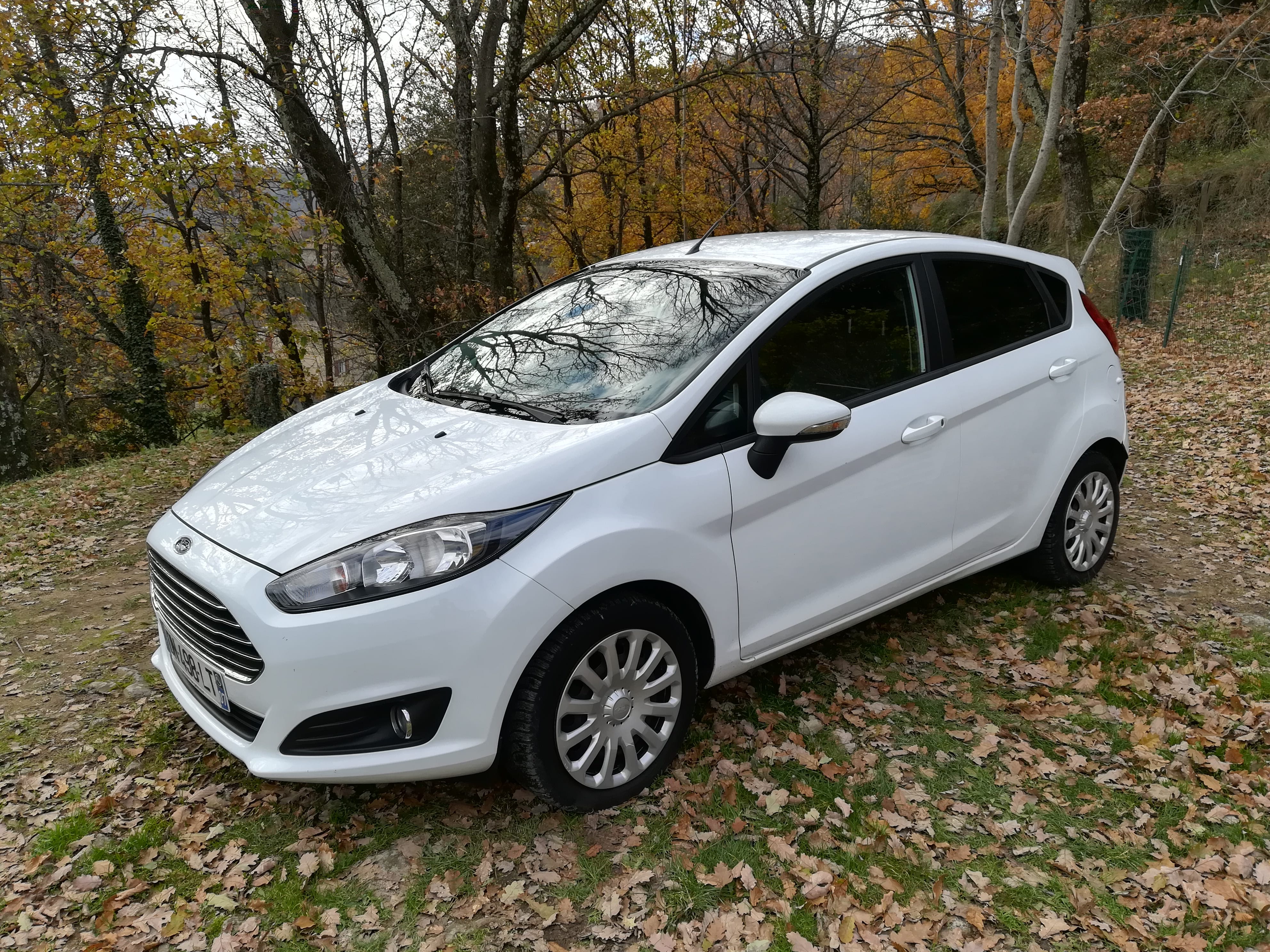 Ford Fiesta 1.0L EcoBoost 100 ch, 2015, Essence 95