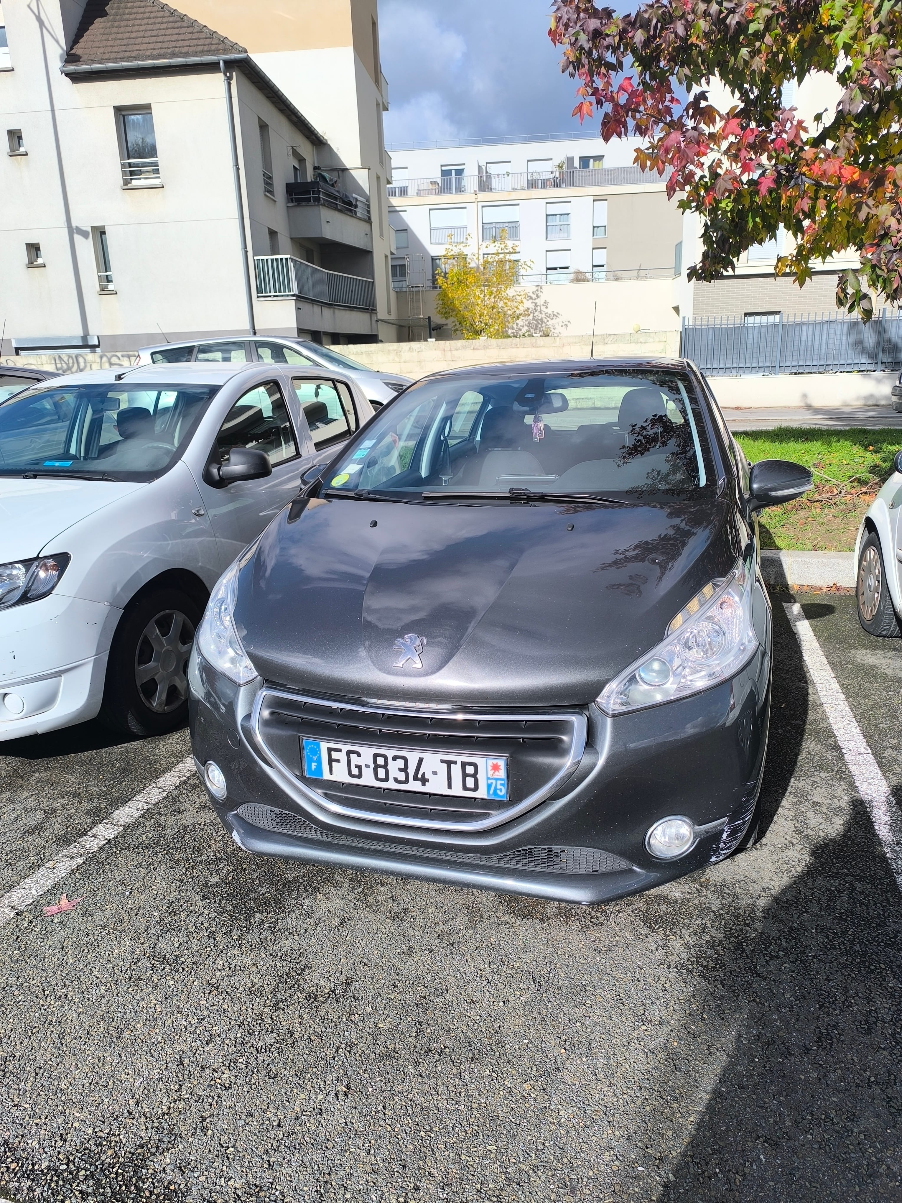 Peugeot 208