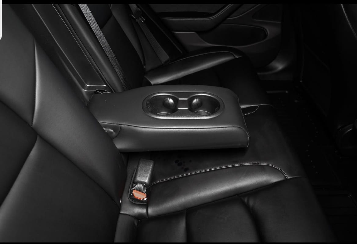 Tesla Model 3 Long Range with Bluetooth audio