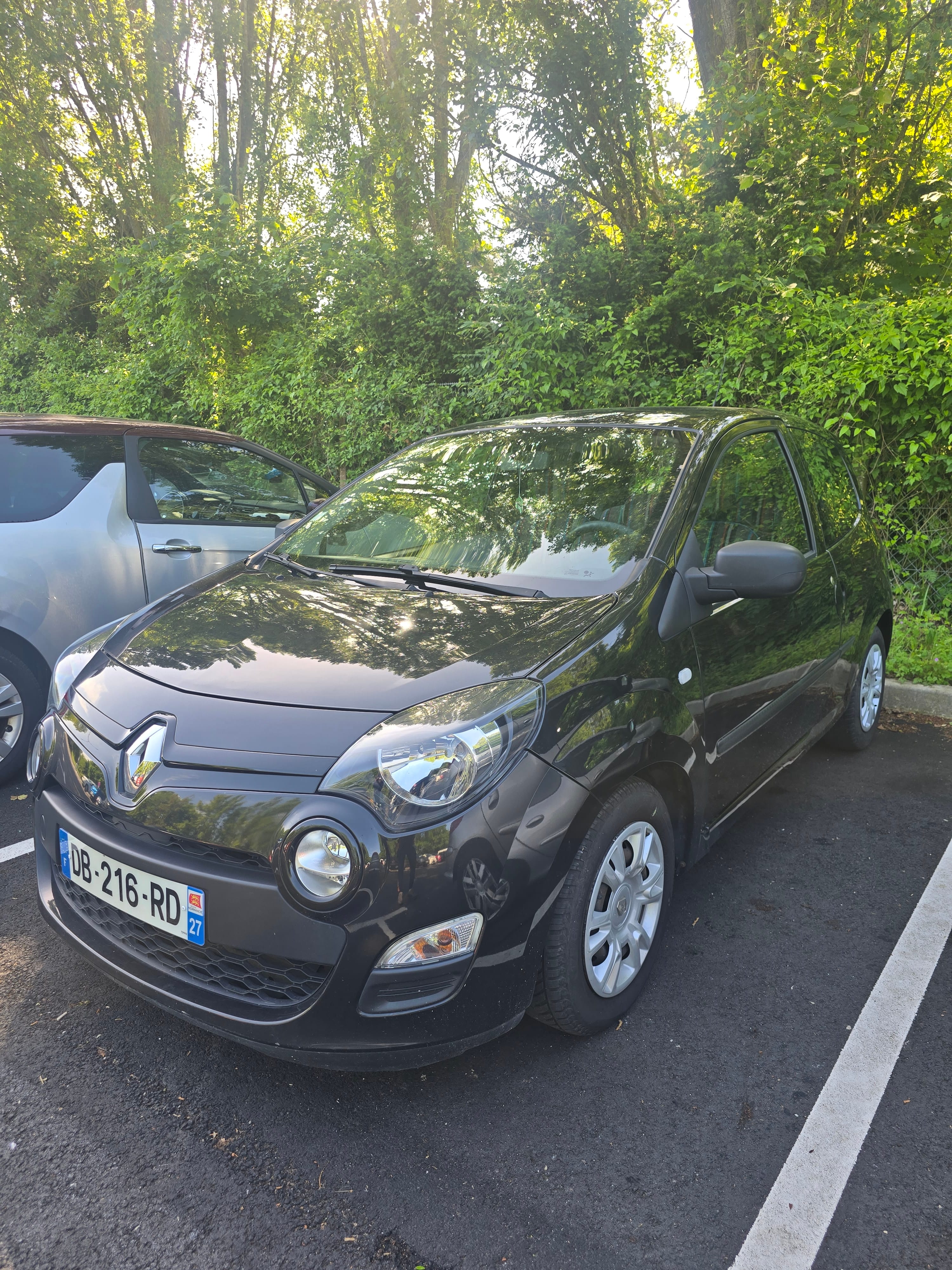 Renault Twingo II, 2013, Diesel