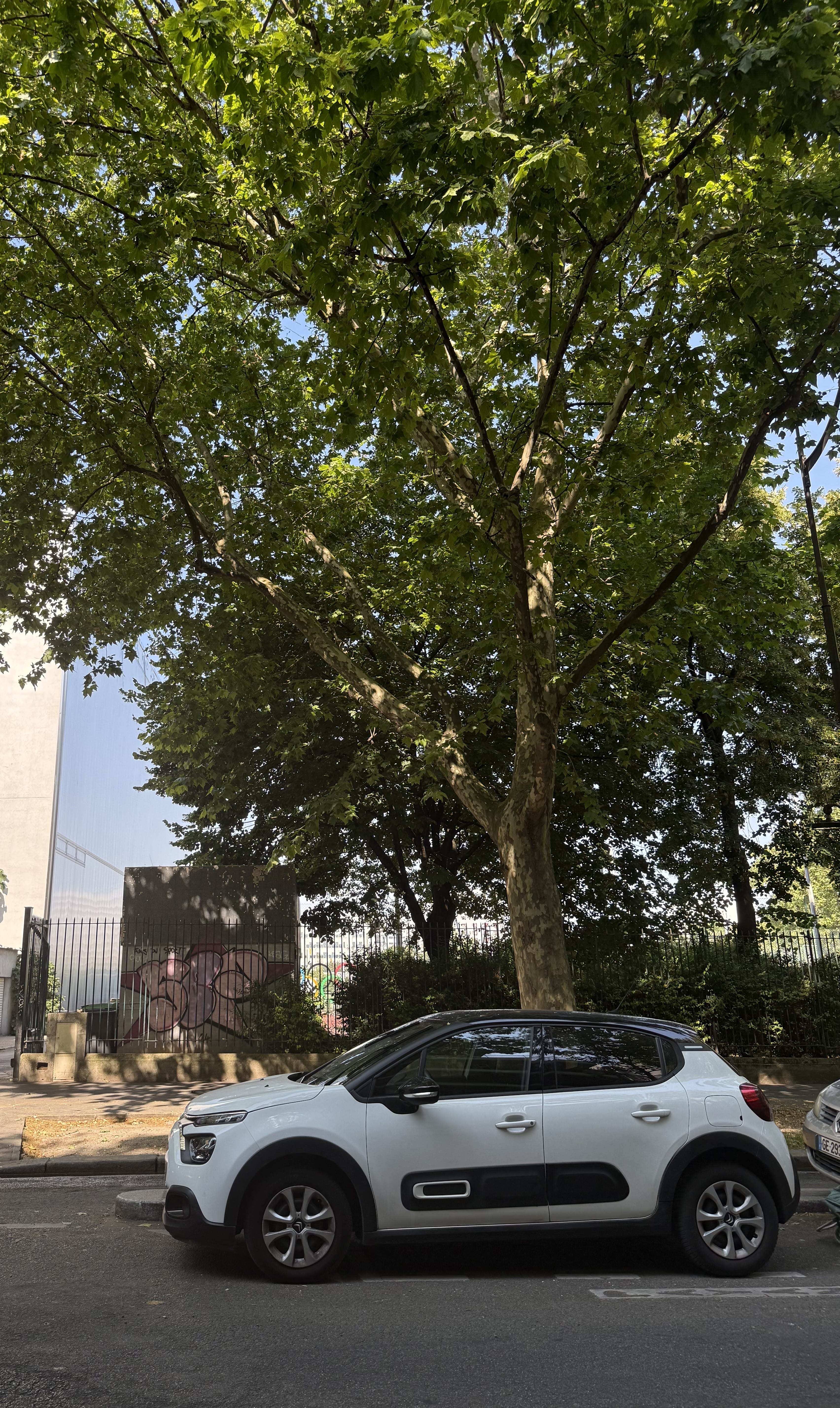 Citroen C3 avec Climatisation