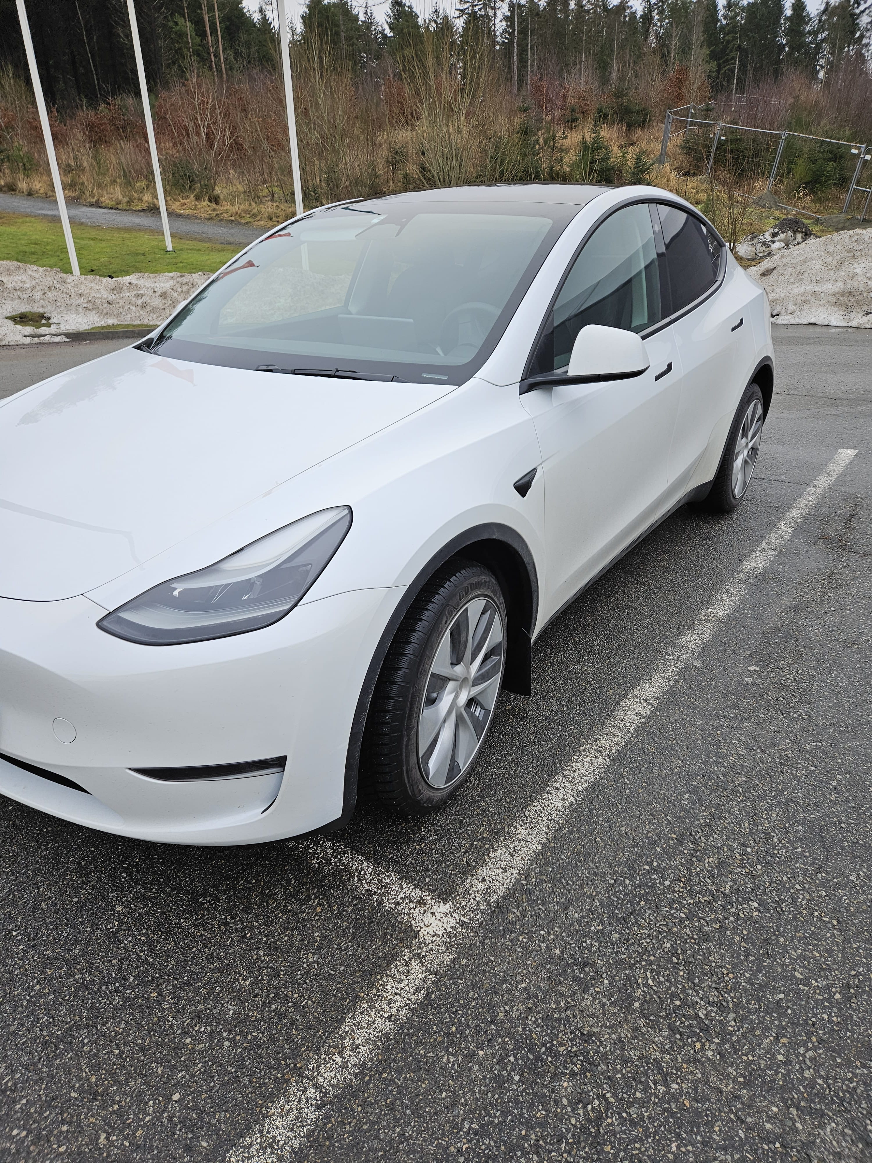 Tesla Model Y Long Range, 2023, Elektrisk, automatisk