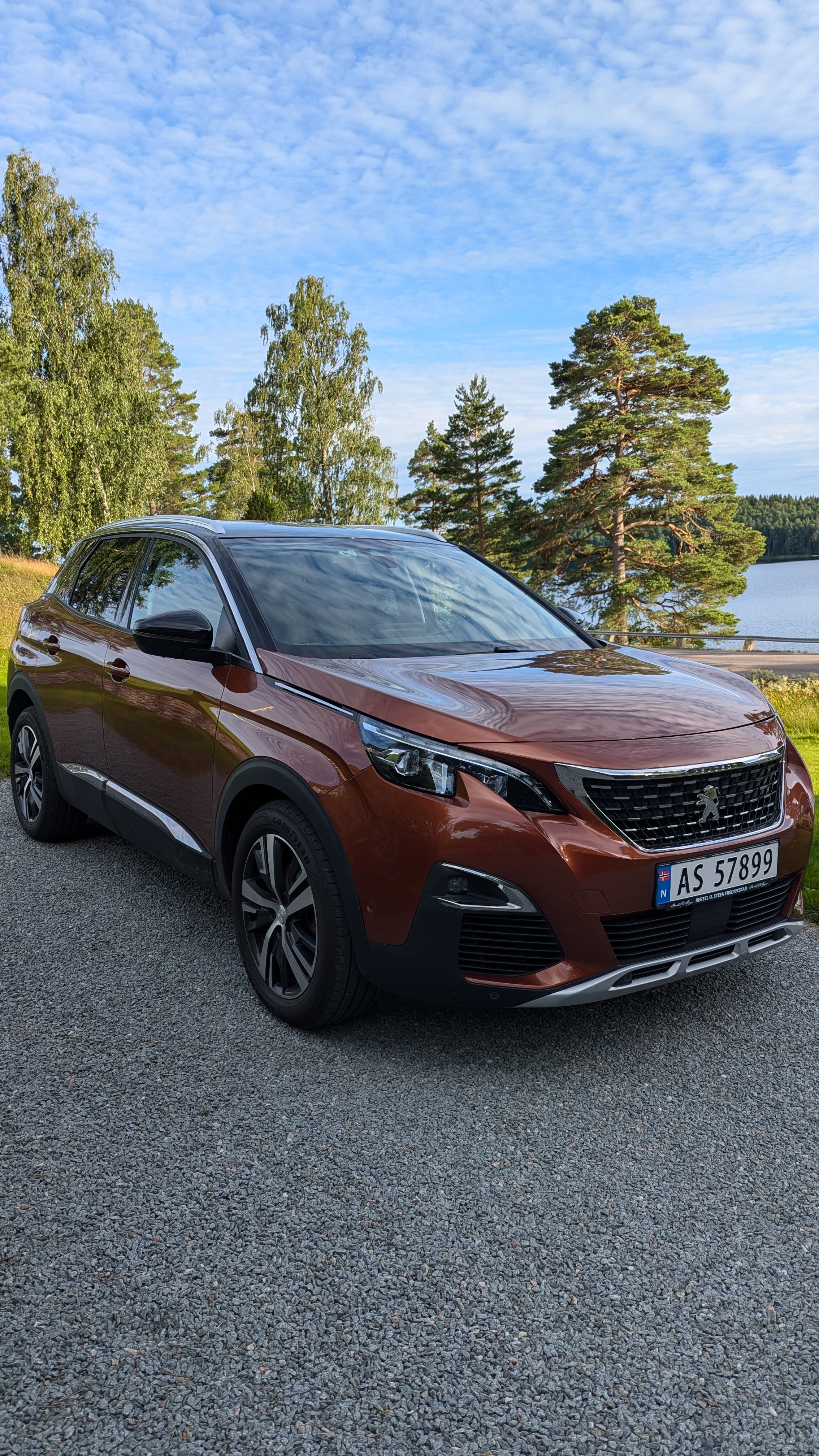 Peugeot 3008, 2018, Blyfri 95, automatisk