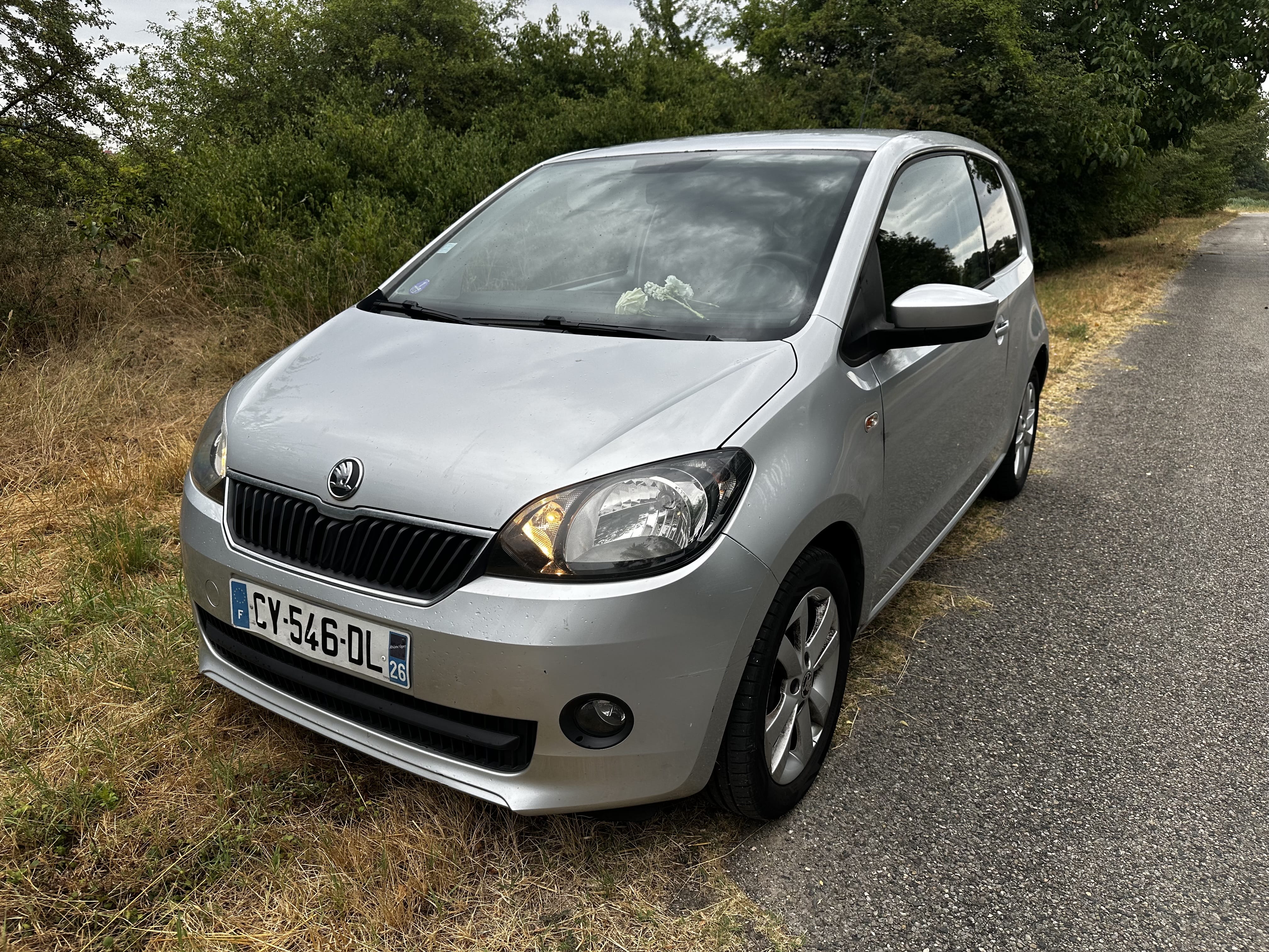 Skoda Citigo, 2013, Essence 95