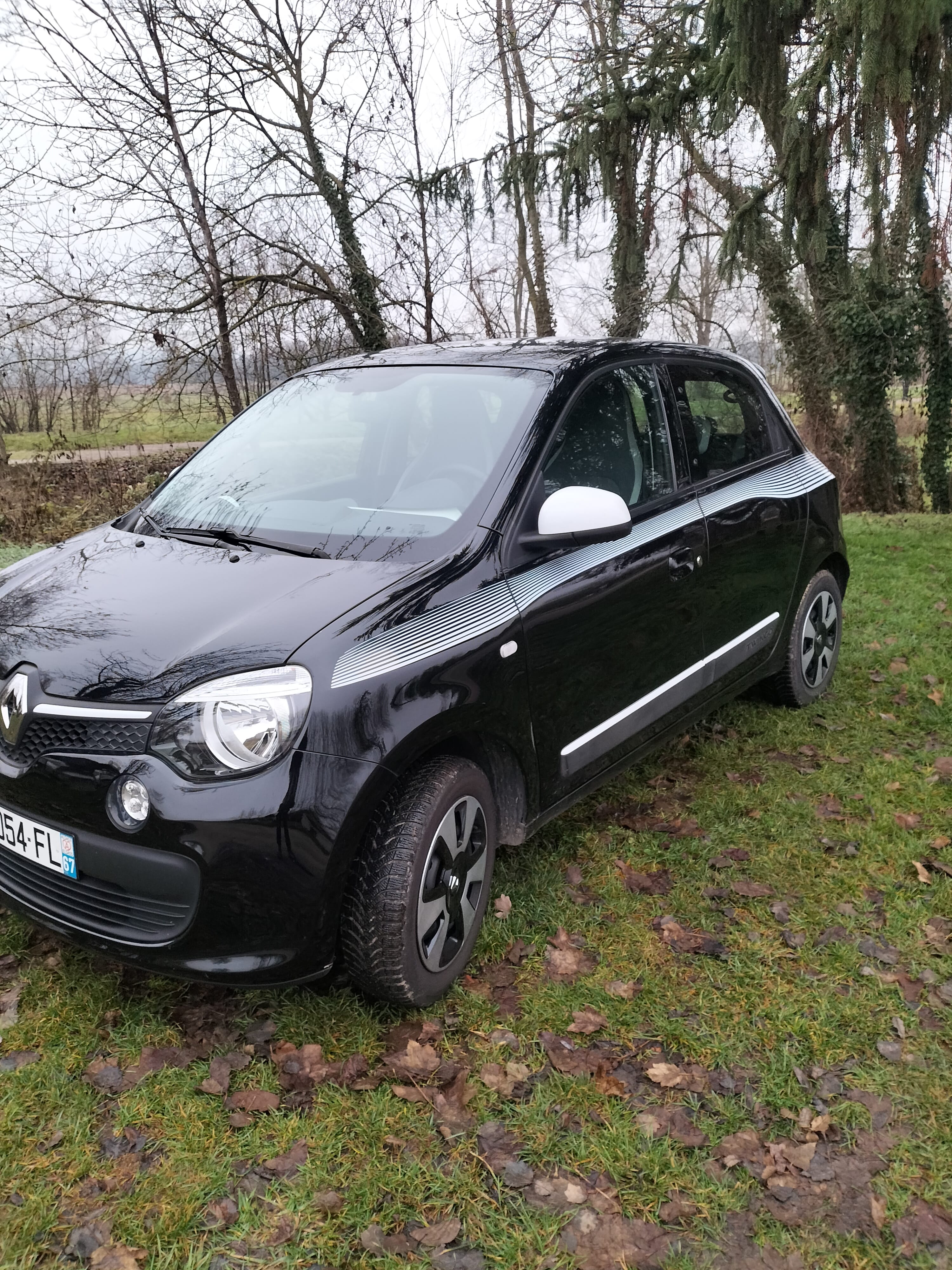 Renault Twingo III, 2018, Essence 95