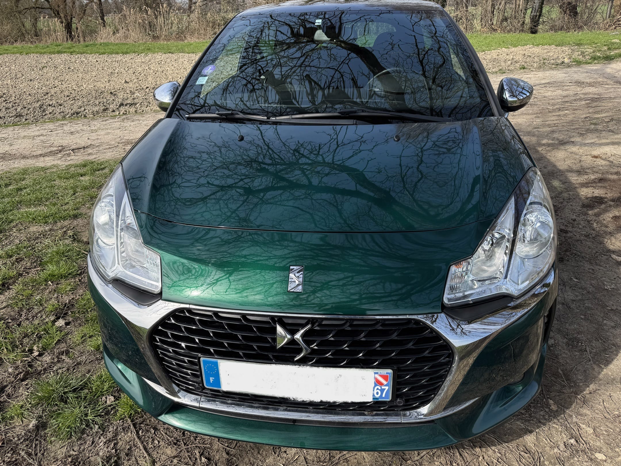 DS 3