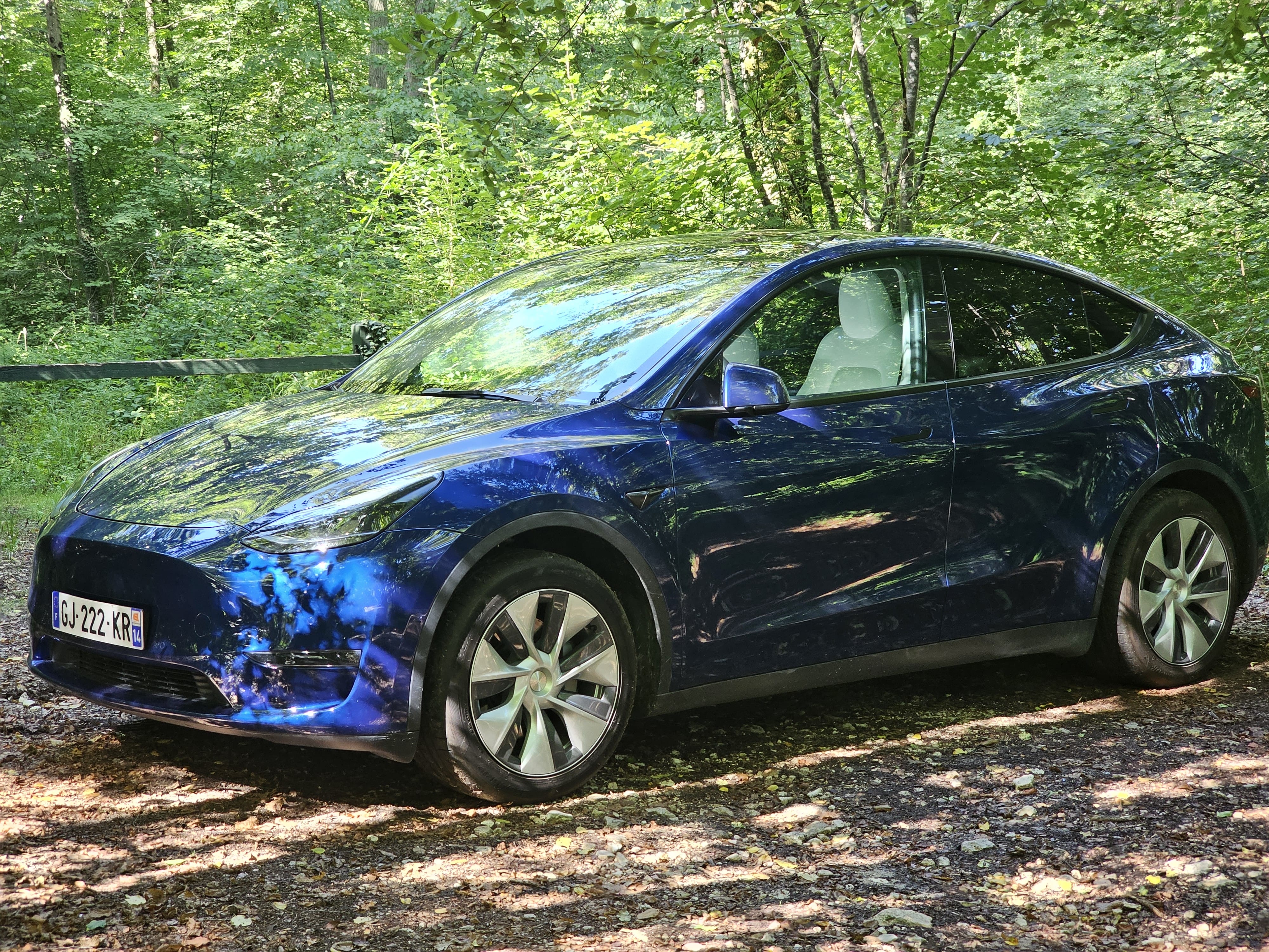 Tesla Model Y Long Range, 2022, Électrique, automatique