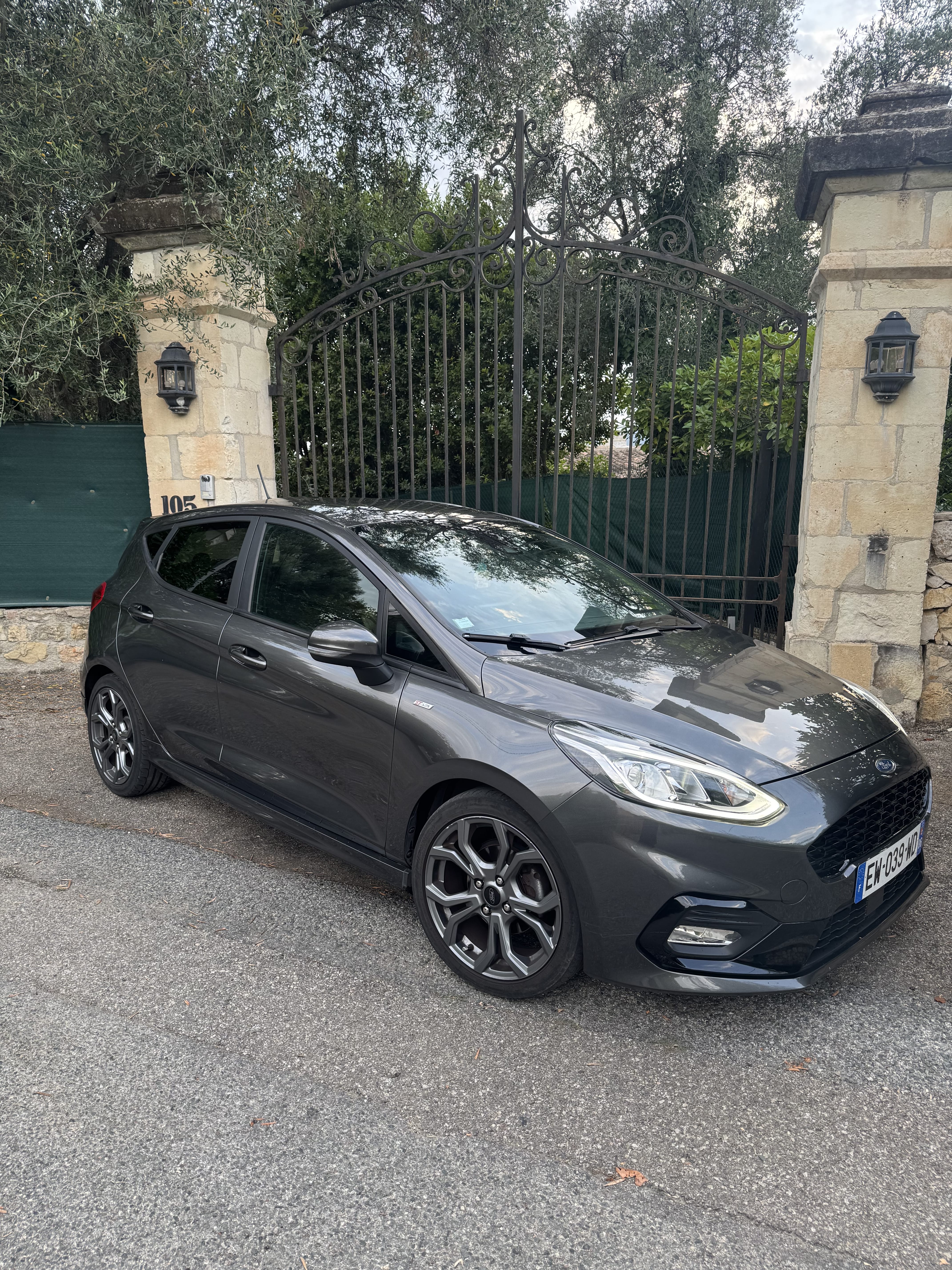Ford Fiesta ST, 2018, Essence 98