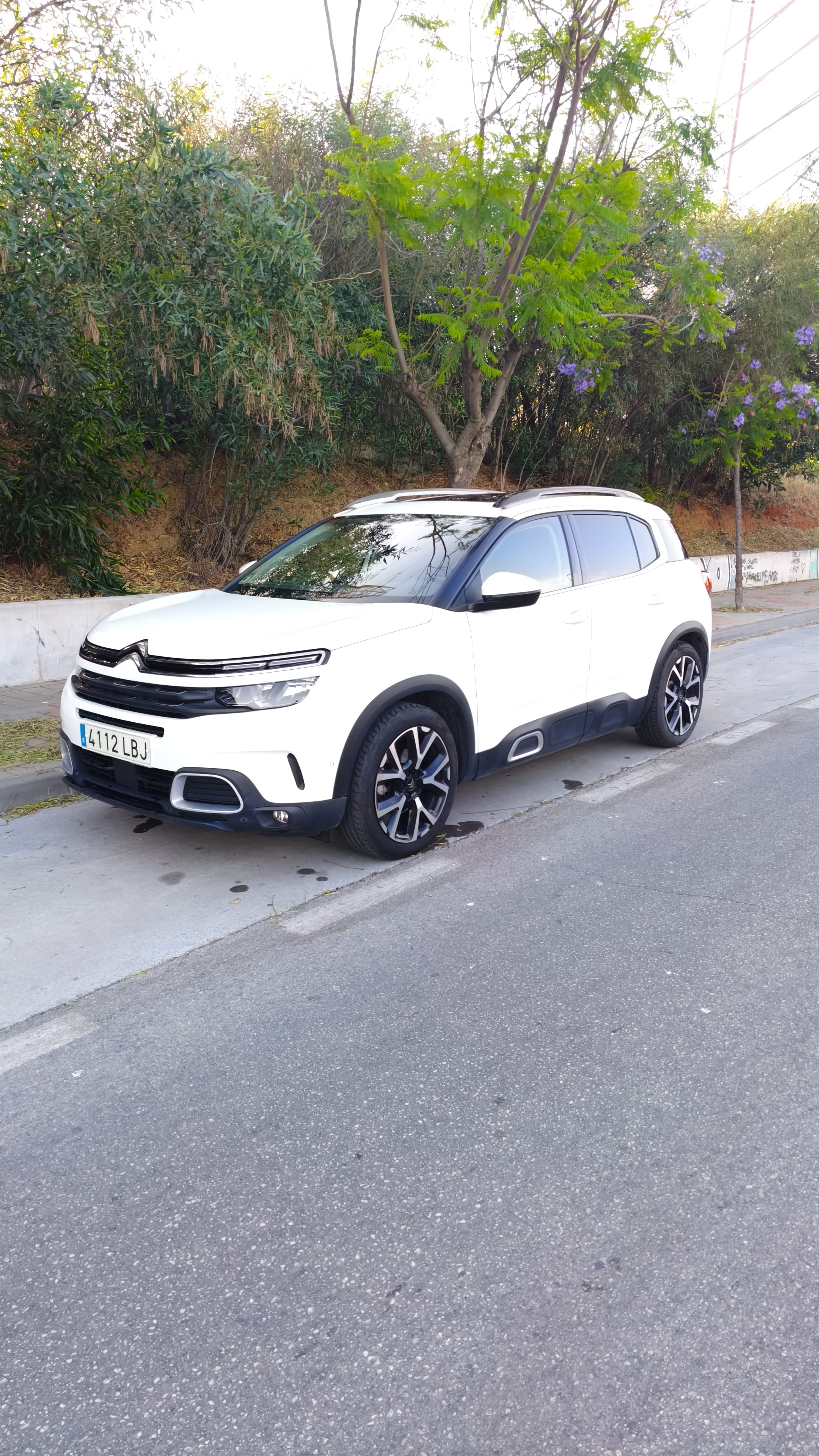 Citroen C5 Aircross, 2019, Diesel, automatic