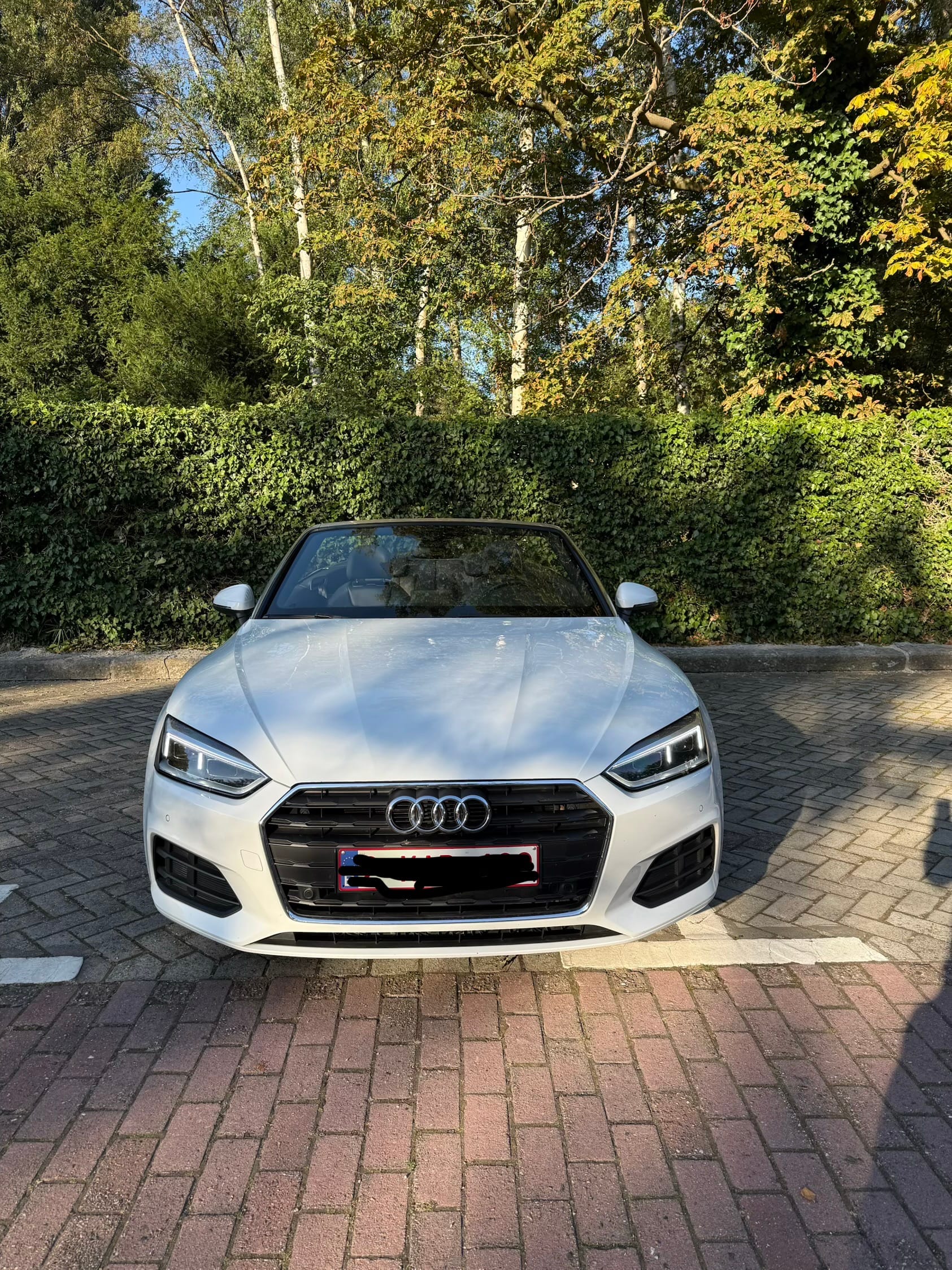 Audi A5 Cabriolet 2.0 met Airco
