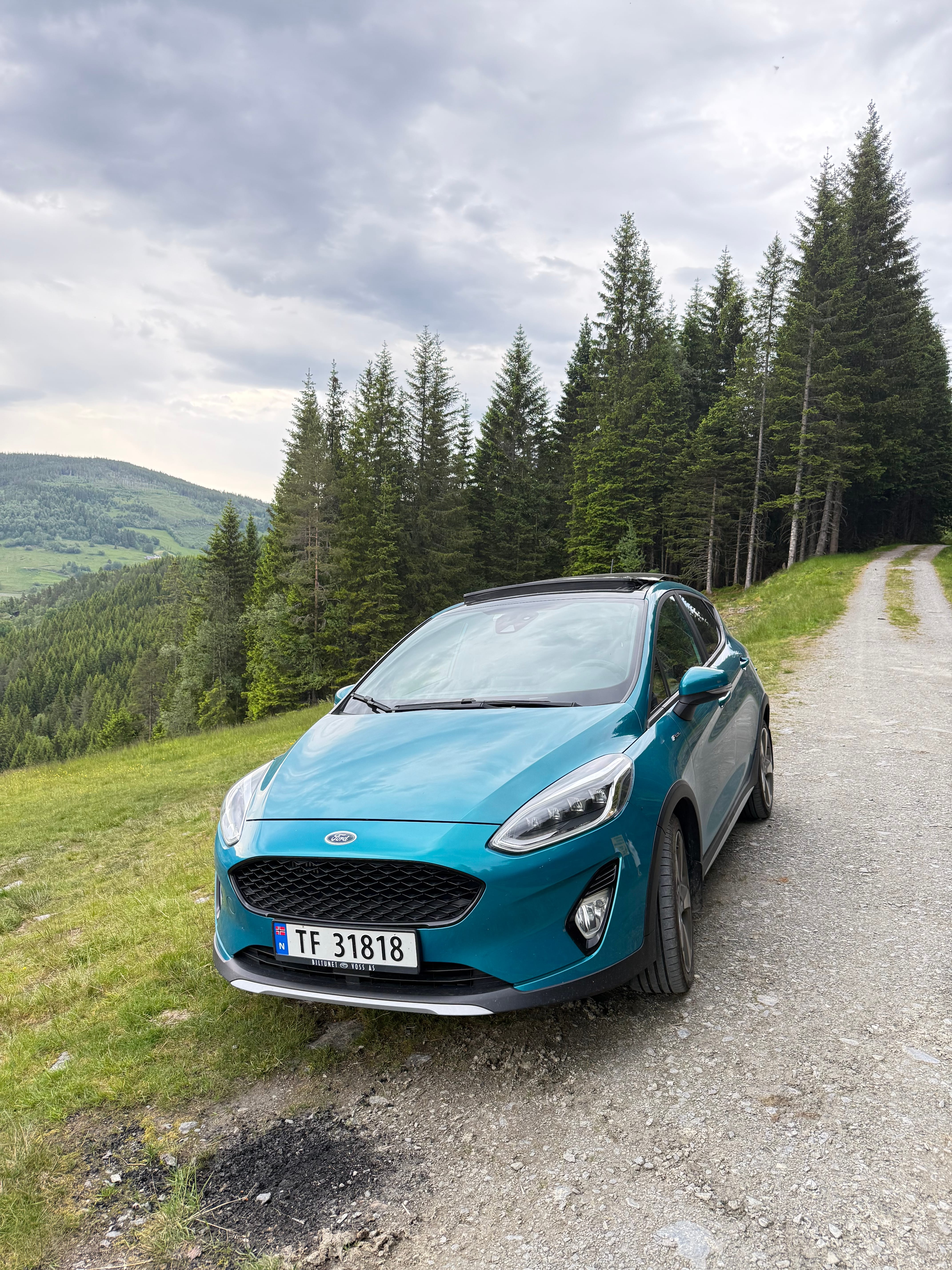 Ford Fiesta Titanium med Babysete
