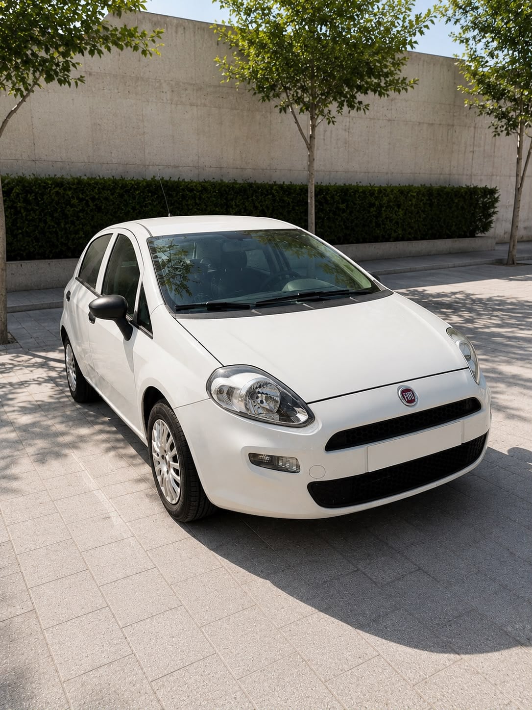 Fiat Punto, 2018, Gasolina 95