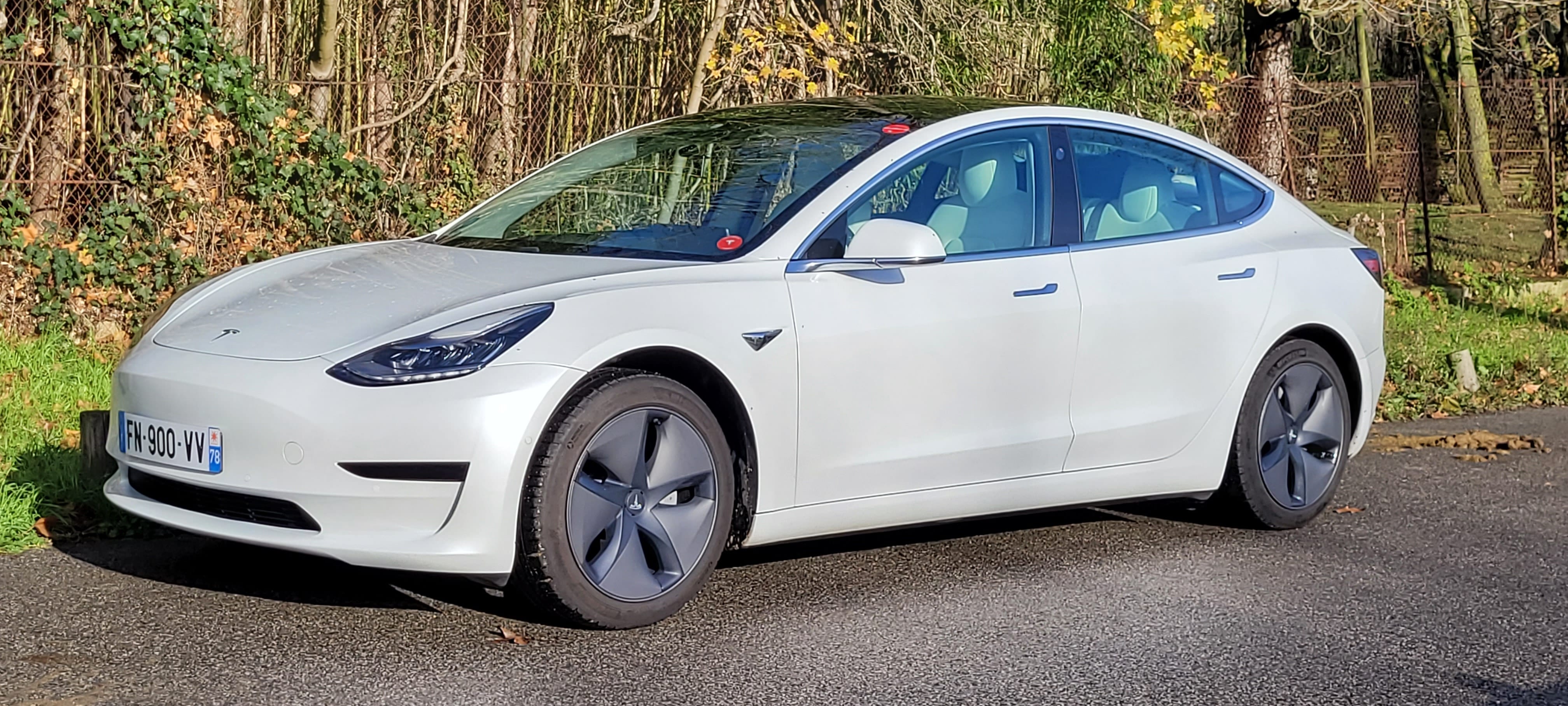 Tesla Model 3 Standard Range Plus, 2020, Électrique, automatique