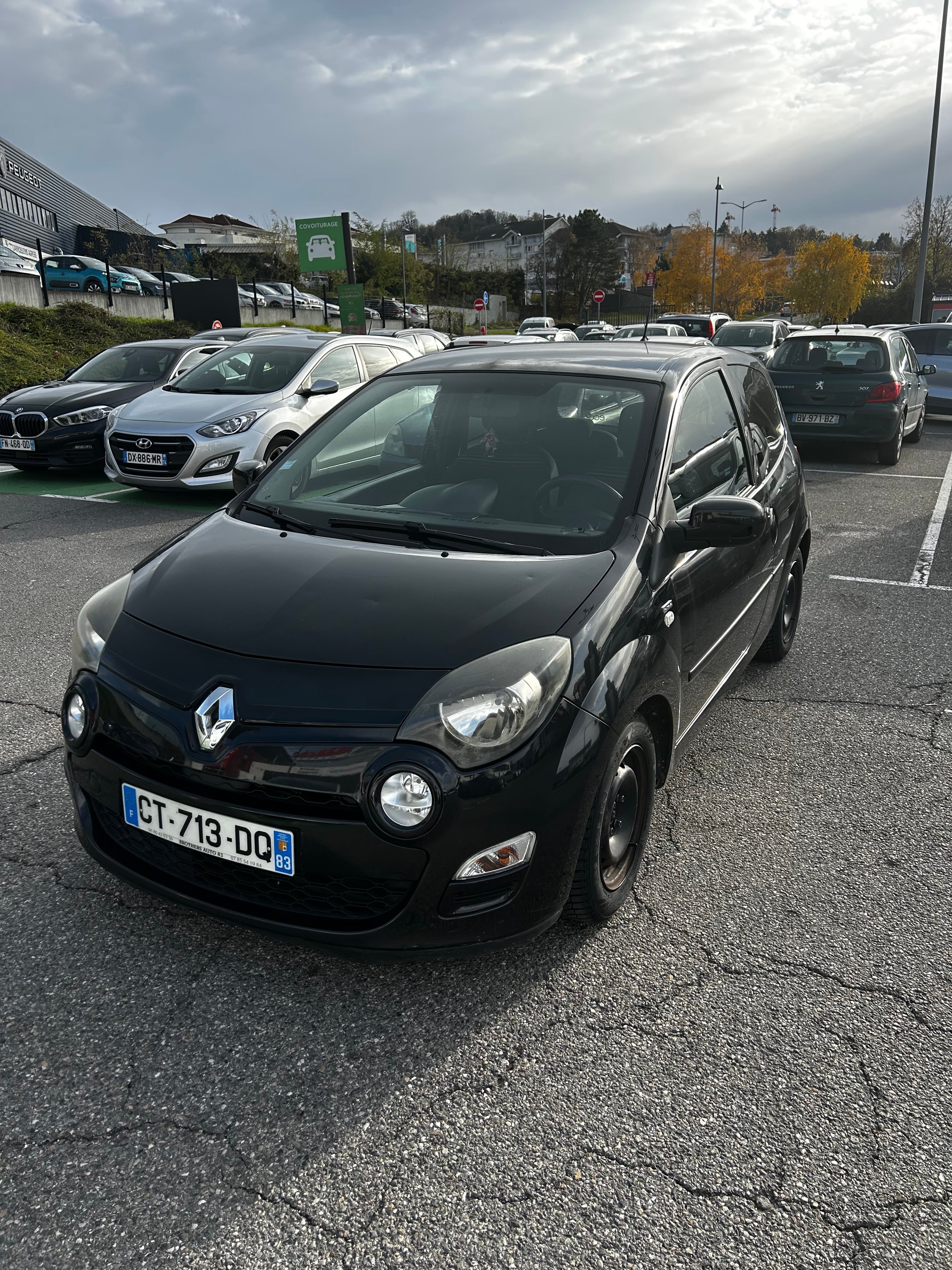 Renault Twingo II Noir Vignette, 2013, Essence 98
