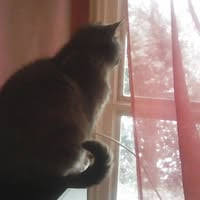 Robert