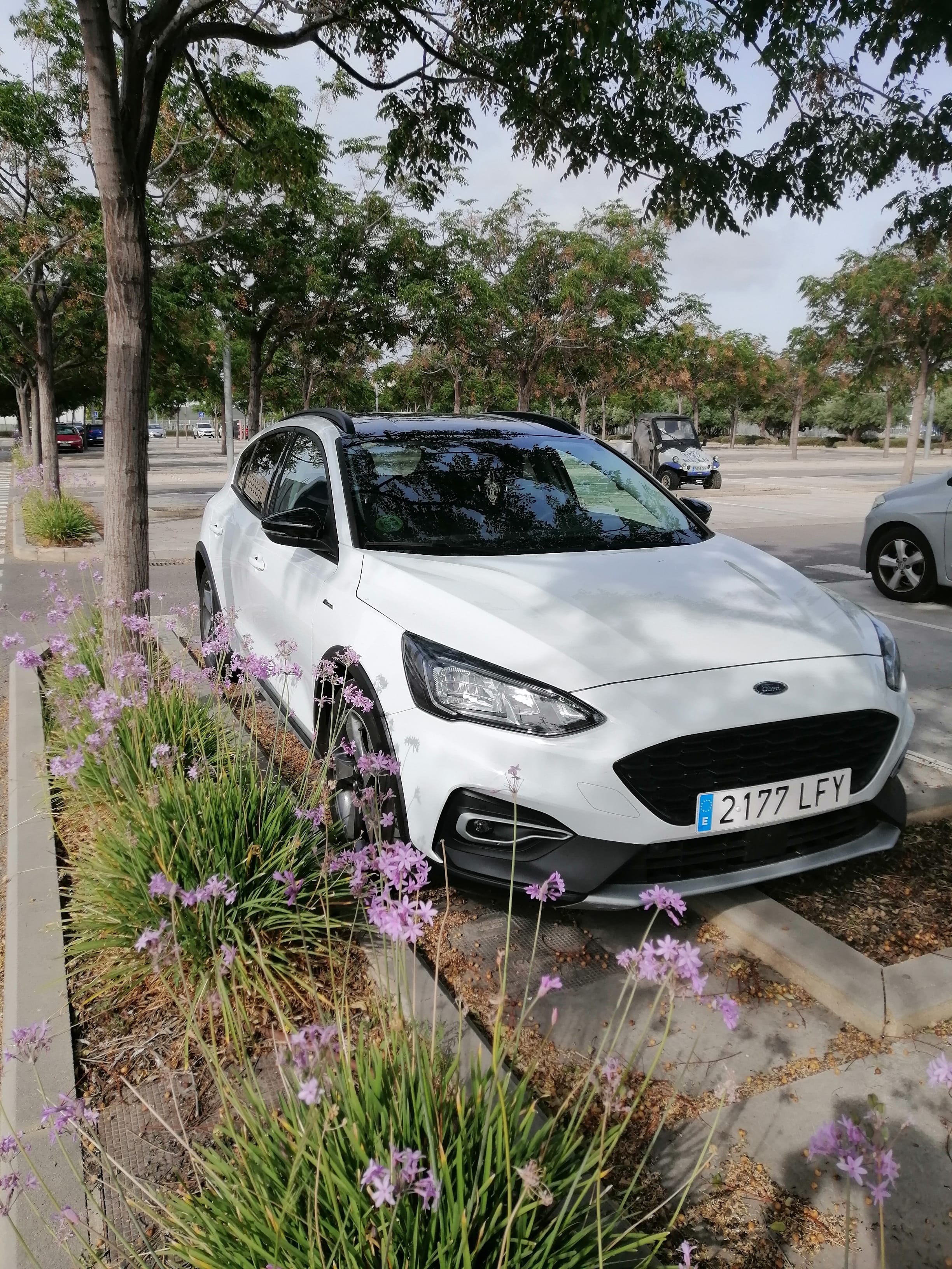 Ford Focus ST, 2020, Diesel