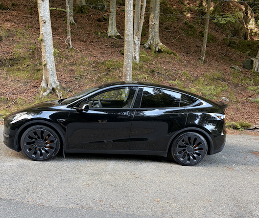 Tesla Model Y Performance med Aircondition