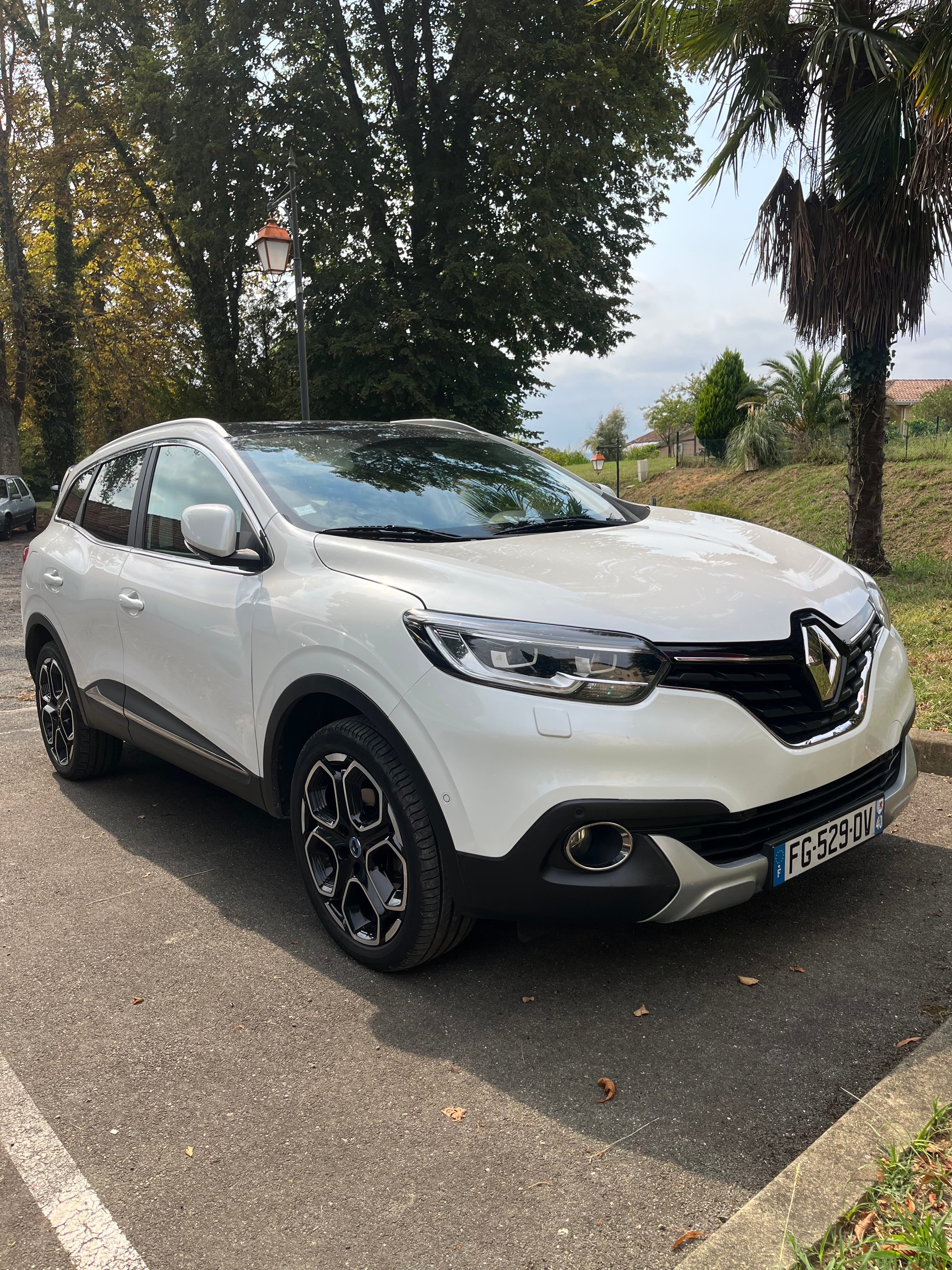 Renault Kadjar, 2018, Essence 95, automatique
