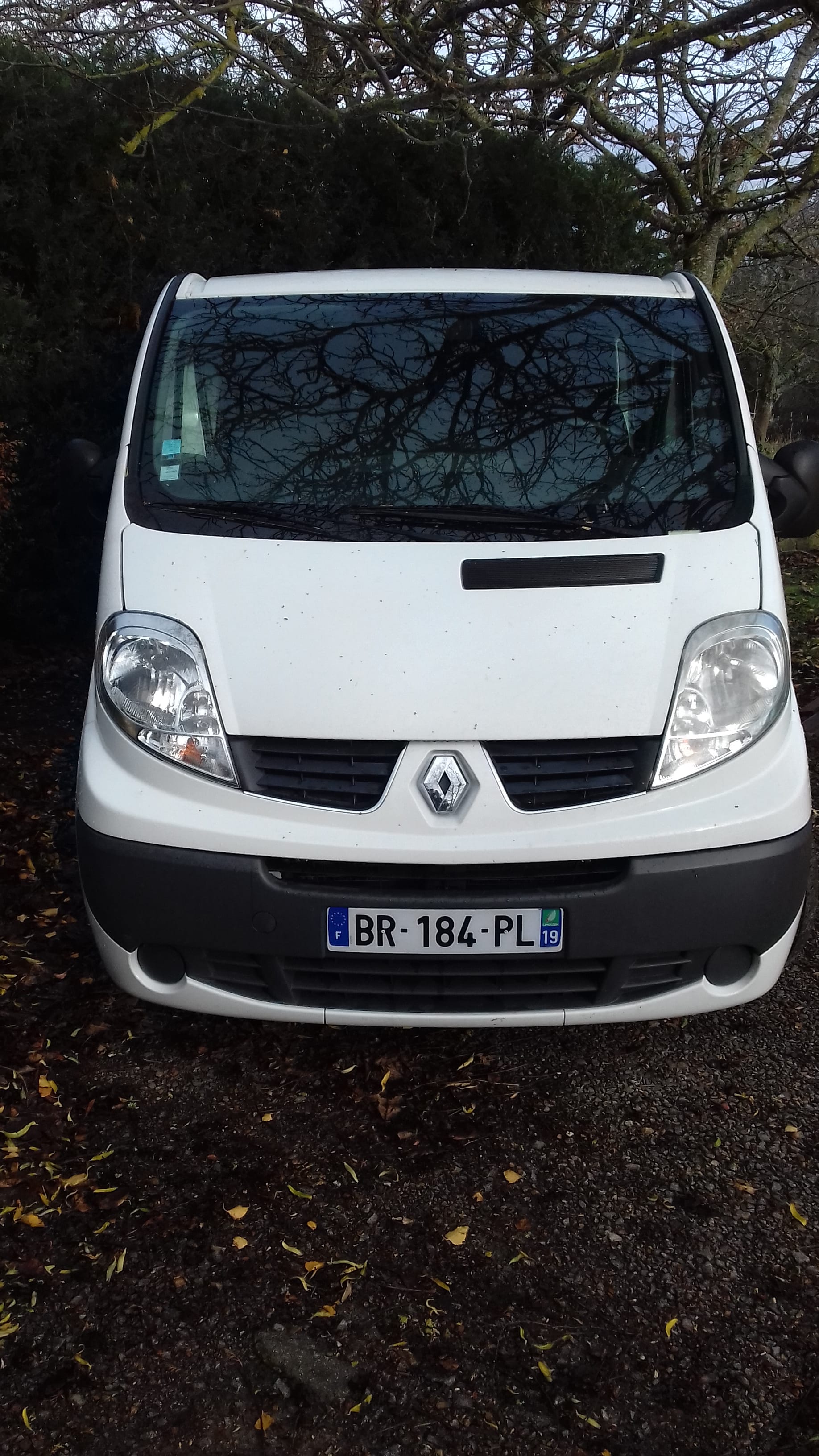 Renault Trafic Passenger  9 PLACES, 2011, Diesel, 9 places et plus