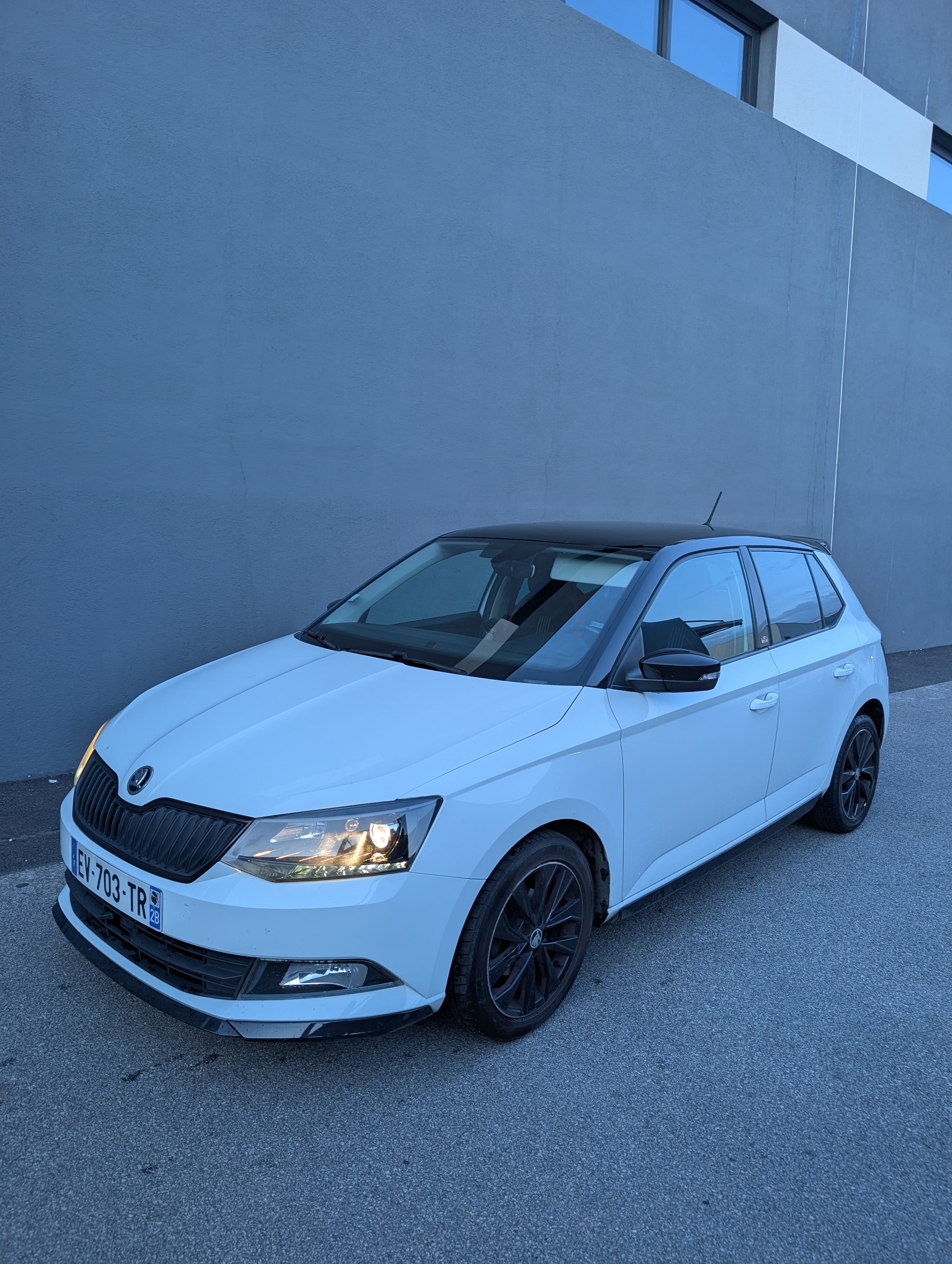 Skoda Fabia 1.0 TSI, 2018, Essence 95