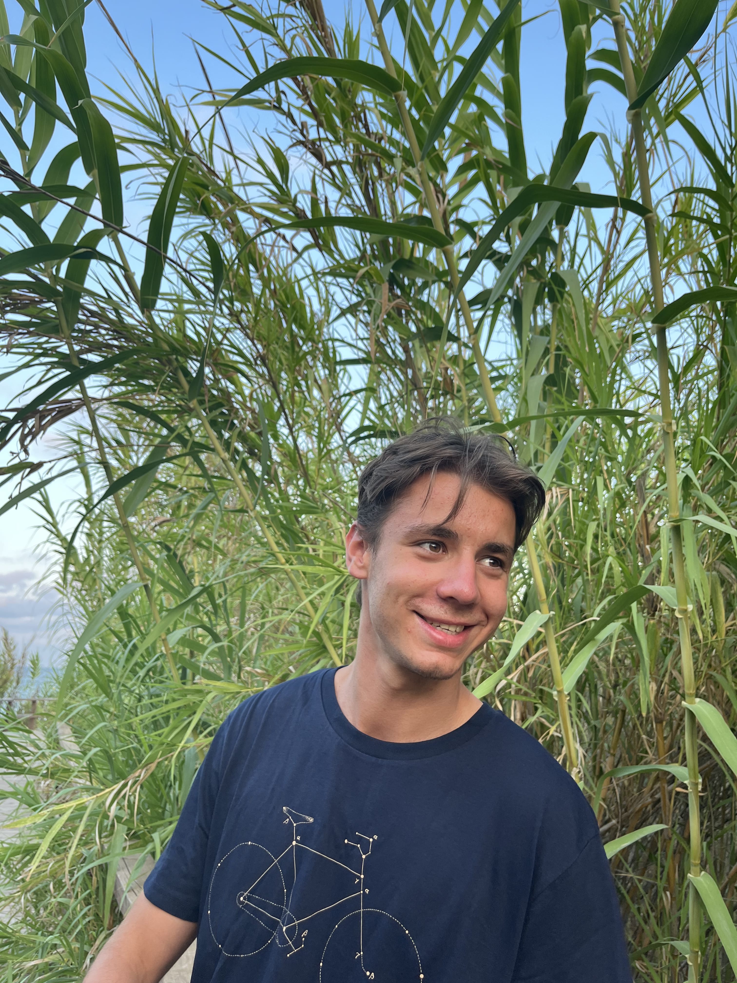 Tomas A