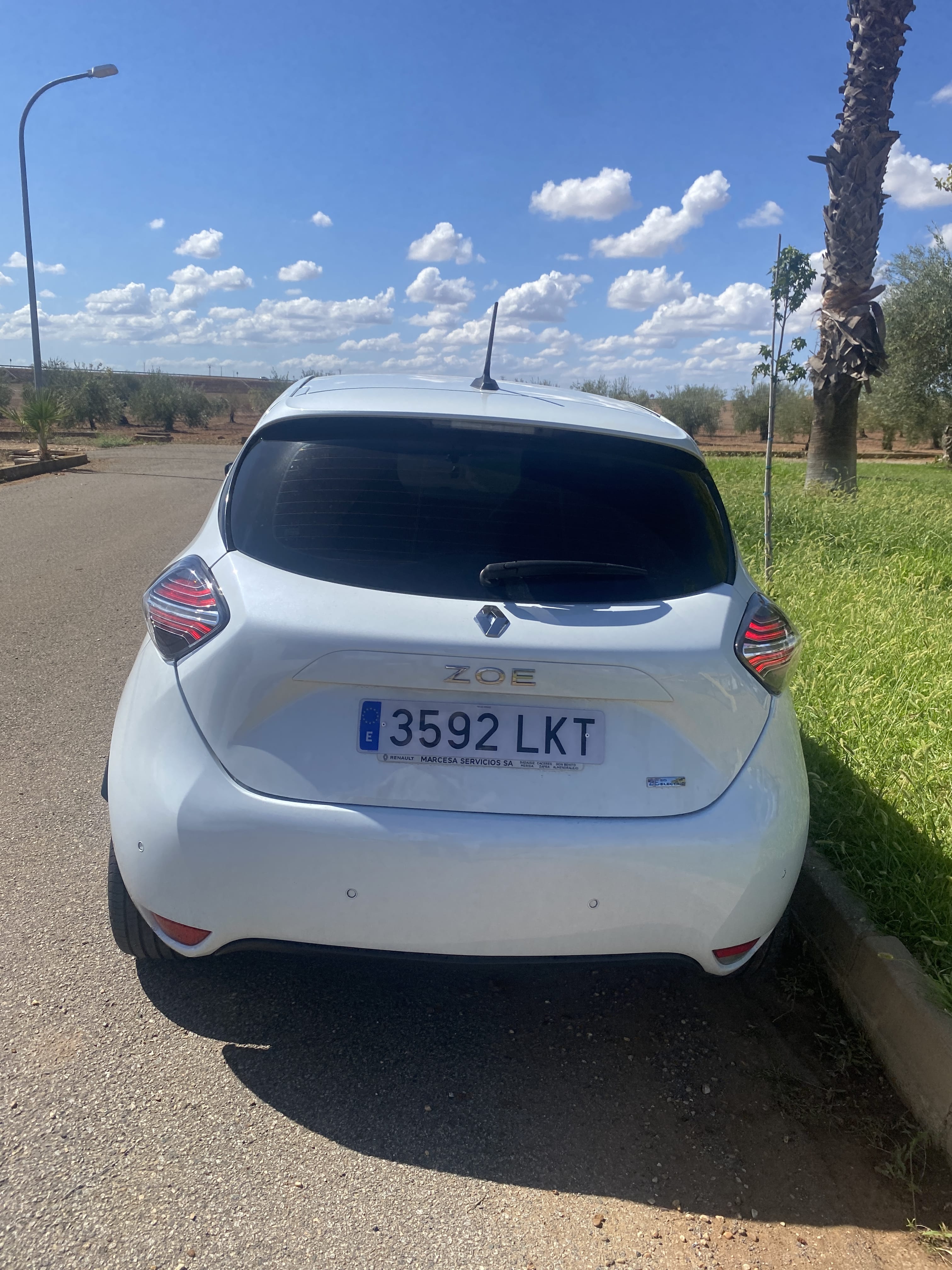 Renault ZOE 110cv con Control de velocidad